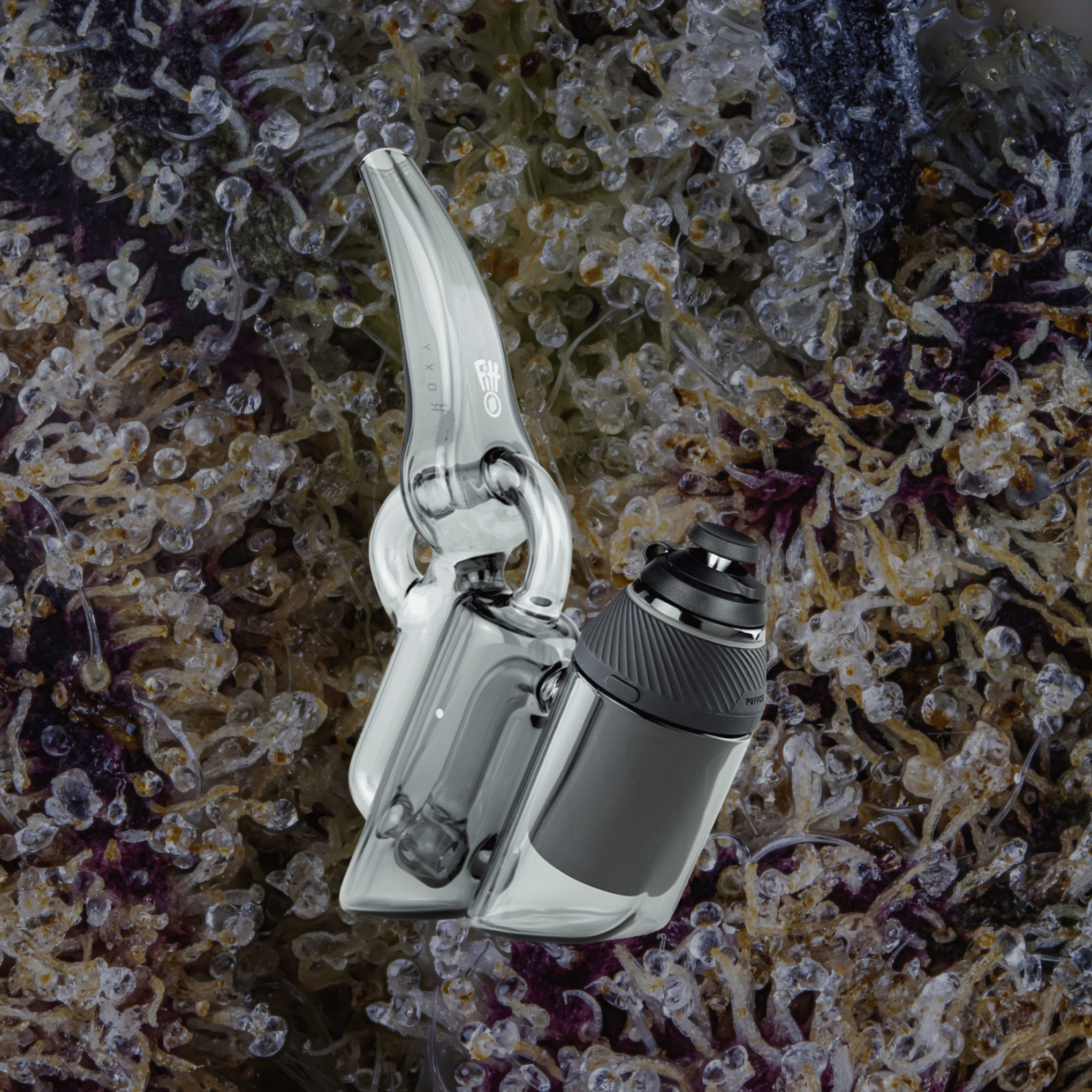 Puffco Proxy Ryan Fitt Recycler Glass | Trichly