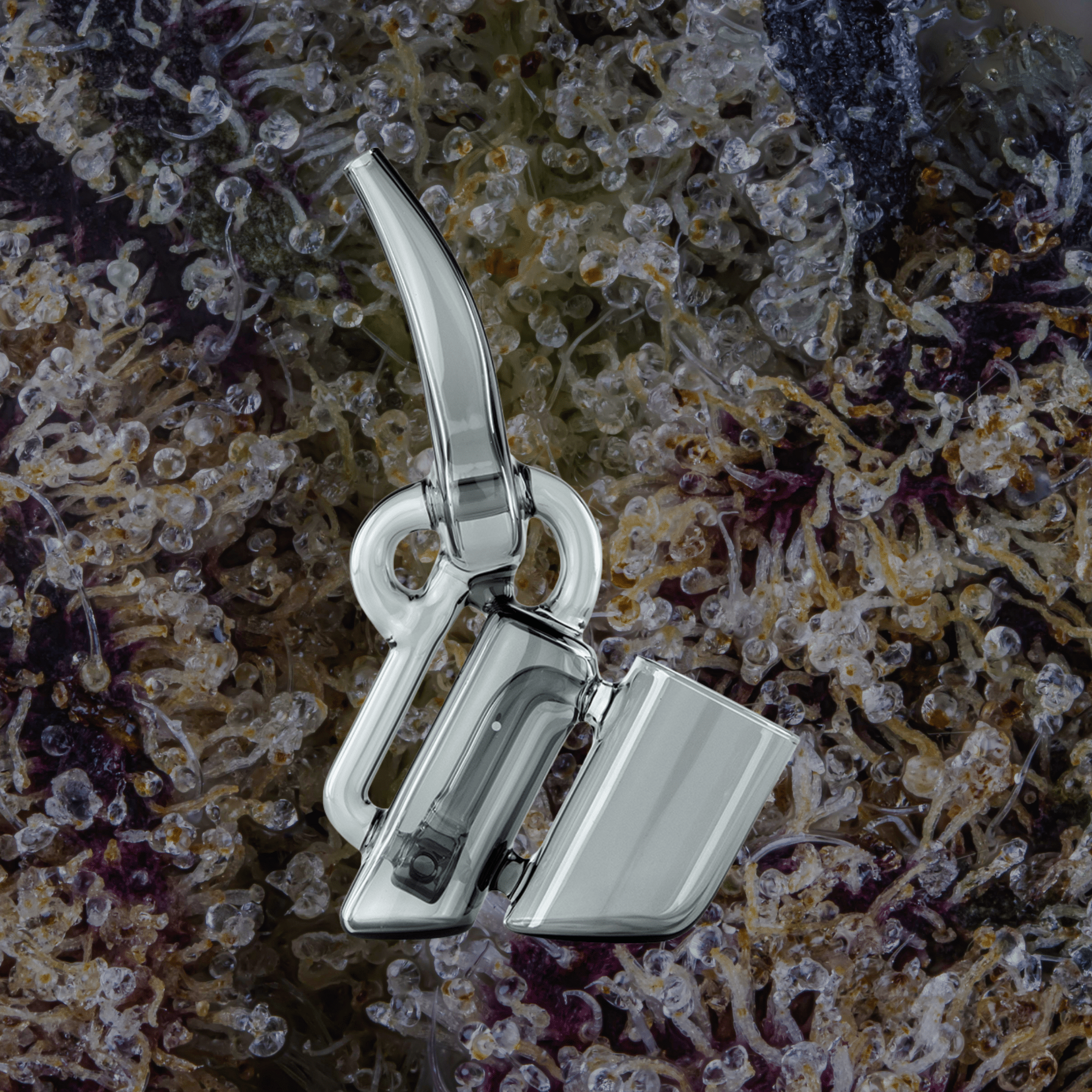 Puffco Proxy Ryan Fitt Recycler Glass | Trichly