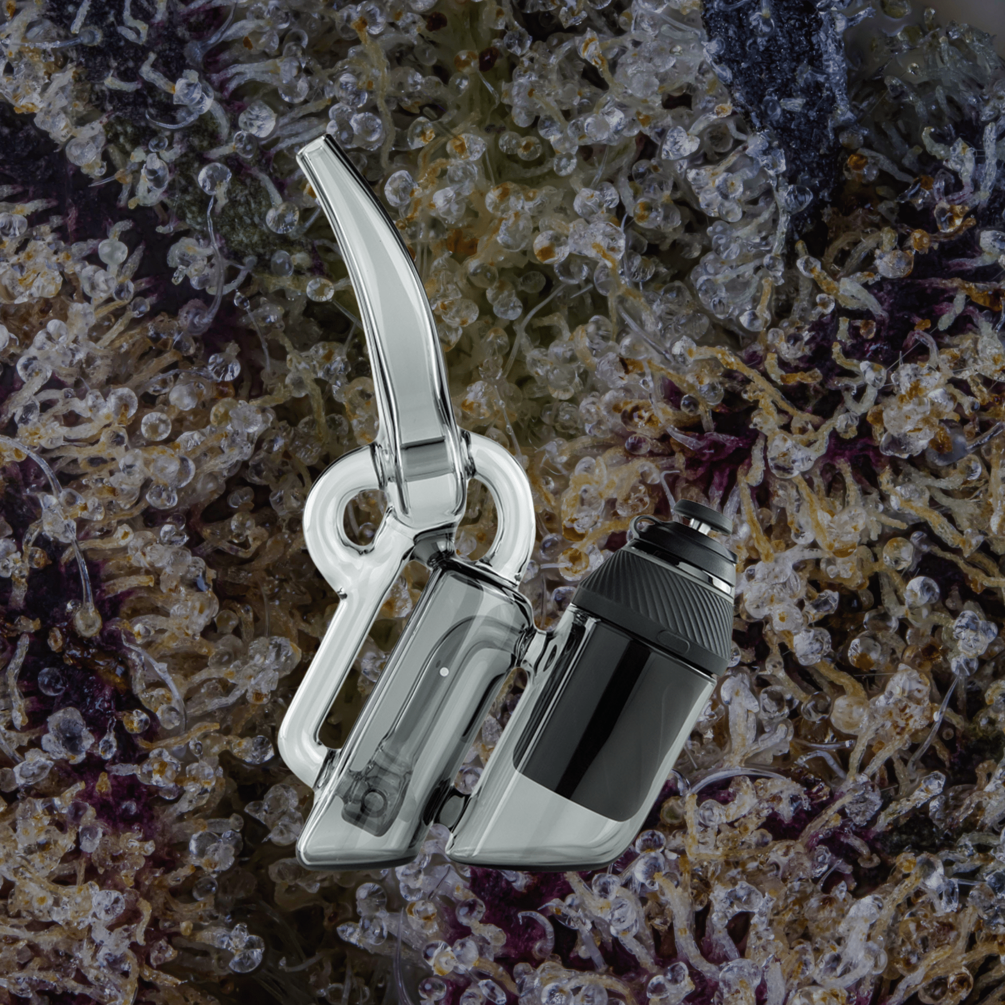 Puffco Proxy Ryan Fitt Recycler Glass | Trichly