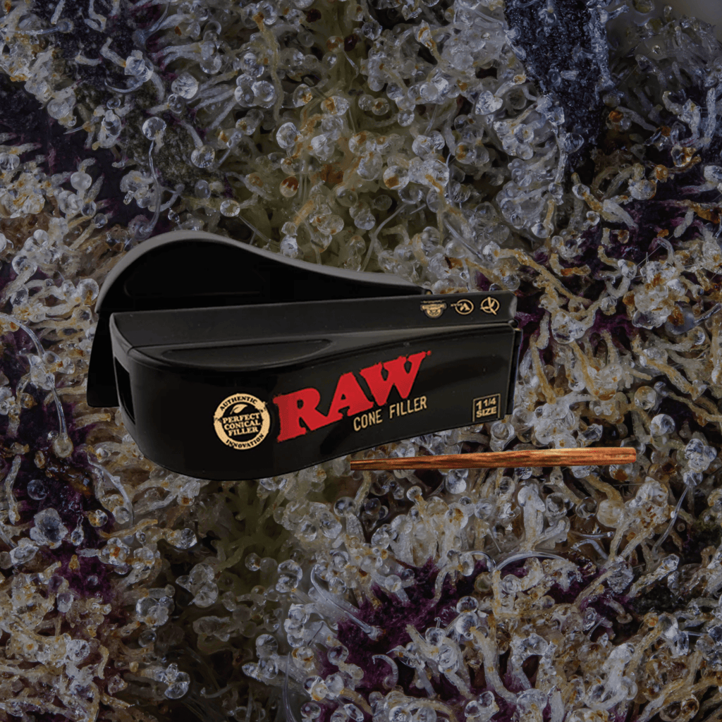 RAW Cone Filler 1 1/4 | Trichly