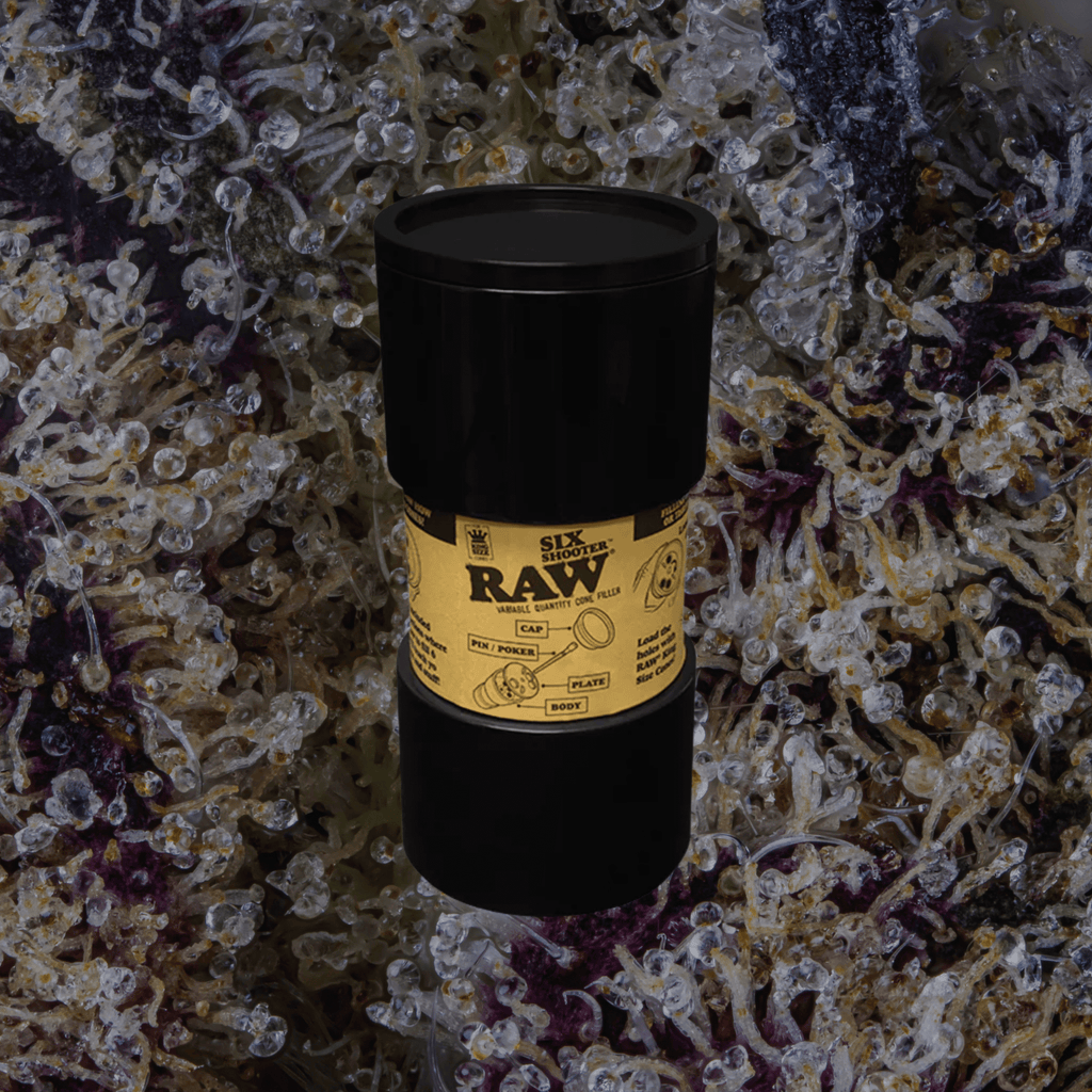 RAW Cone Filler Six Shooter | Trichly