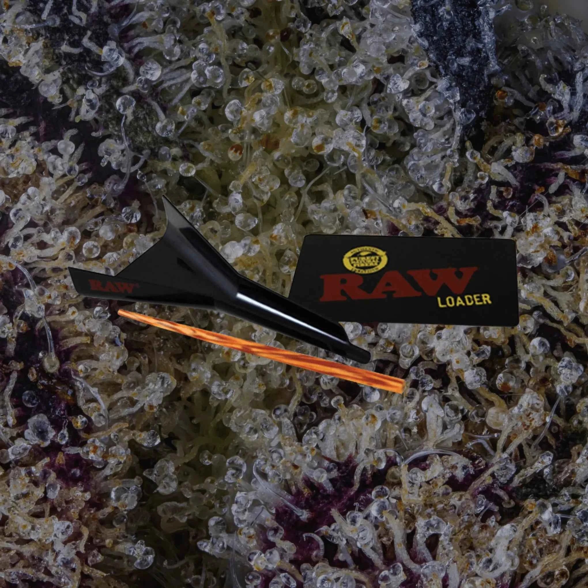 RAW Cone Loader Regular | Trichly