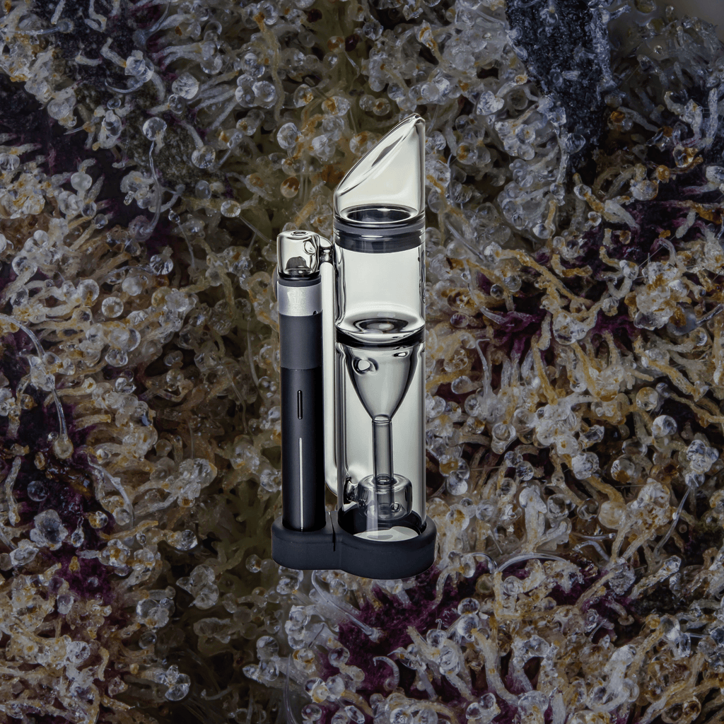 Ryan Fitt Pivot Pillar Bubbler | Trichly