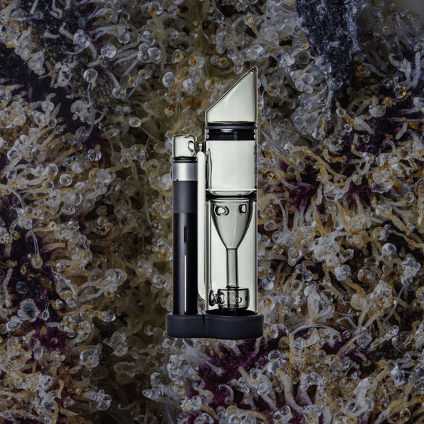 Ryan Fitt Pivot Pillar Bubbler | Trichly