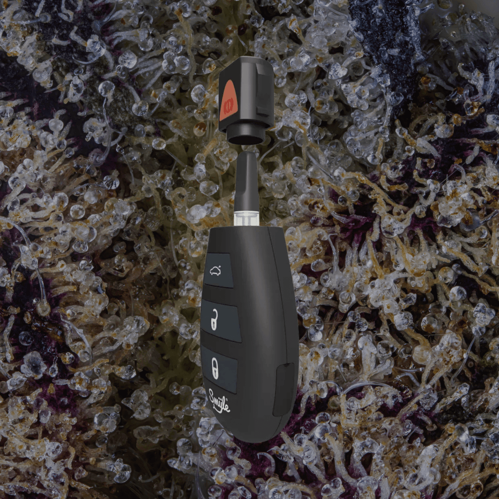 Smyle Labs Car Key | Trichly