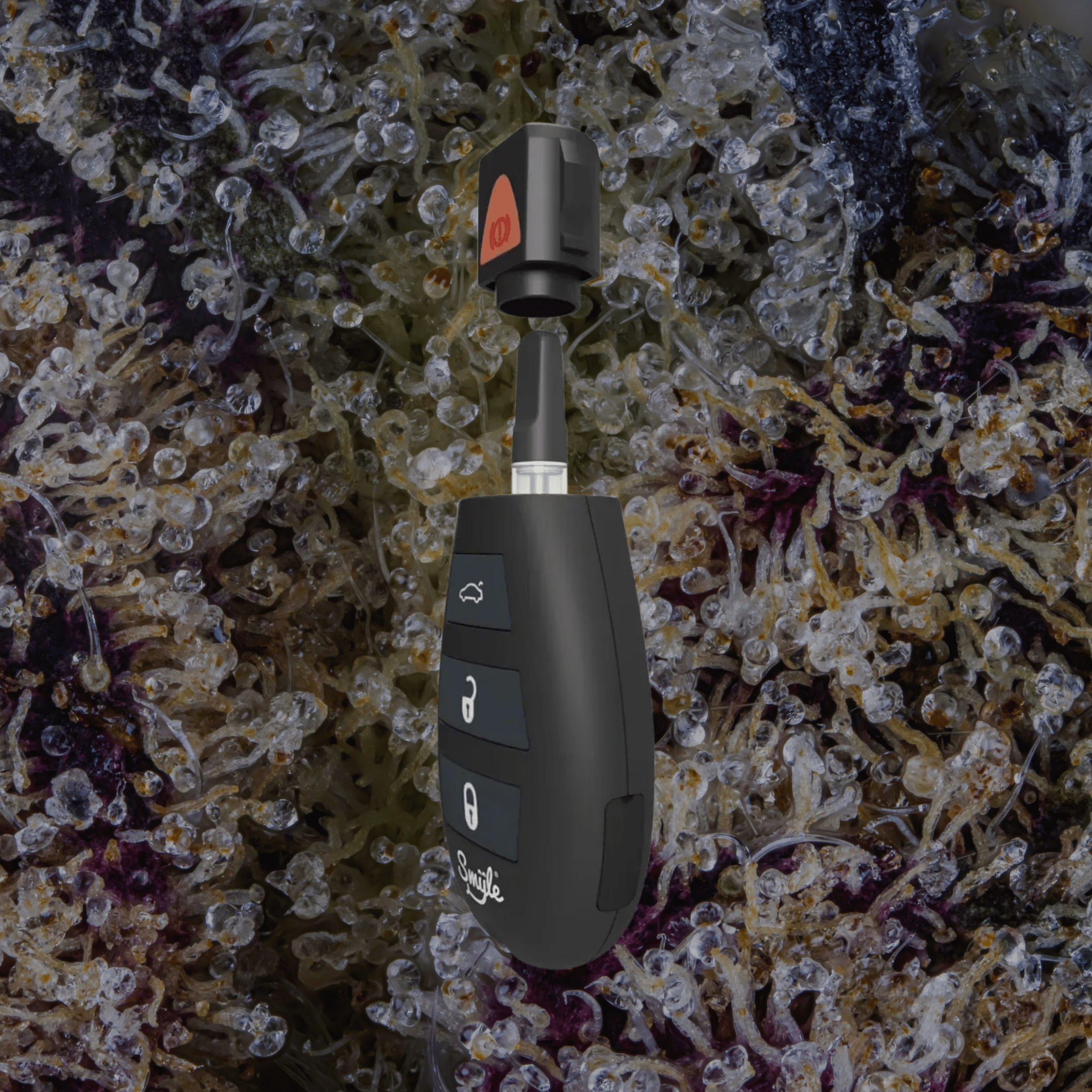 Smyle Labs Car Key | Trichly