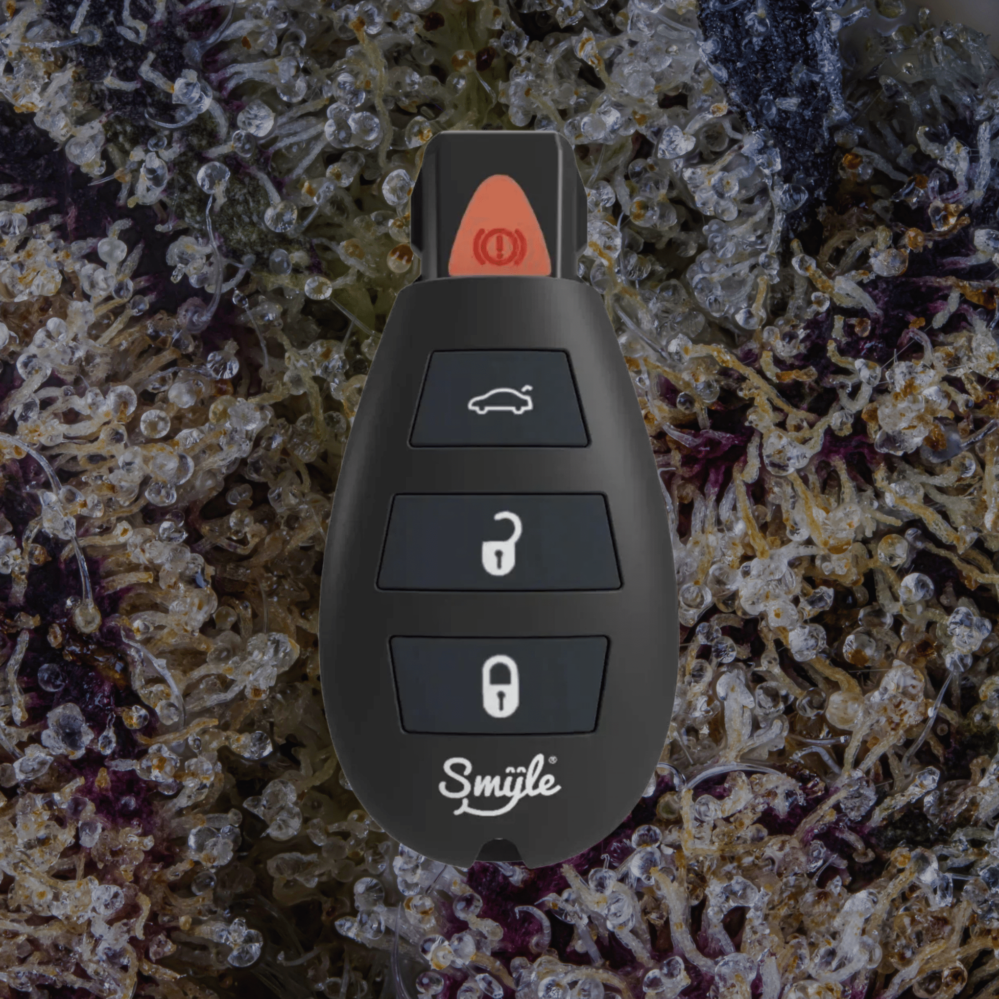 Smyle Labs Car Key | Trichly