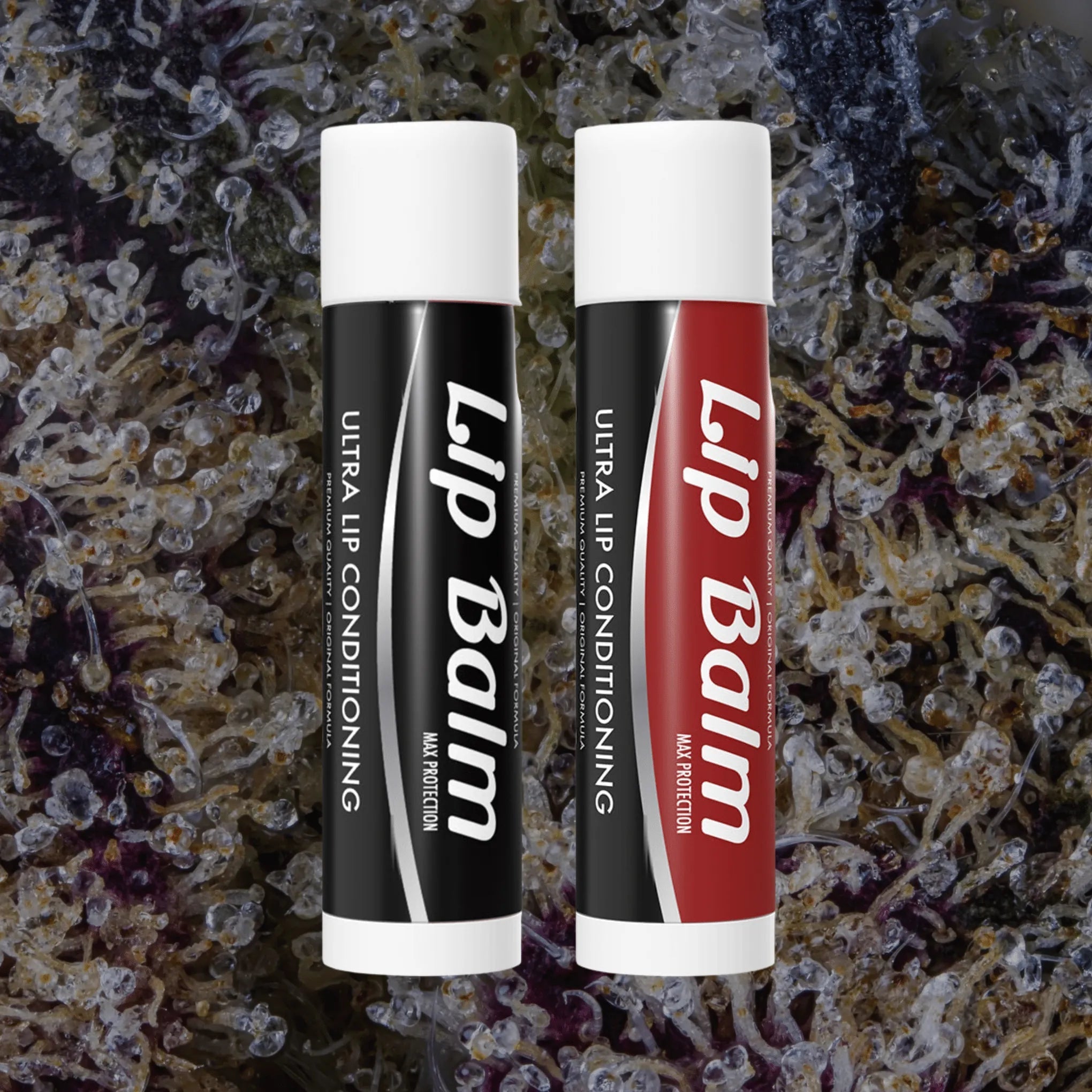 Lip Balm Black/Red | Trichly