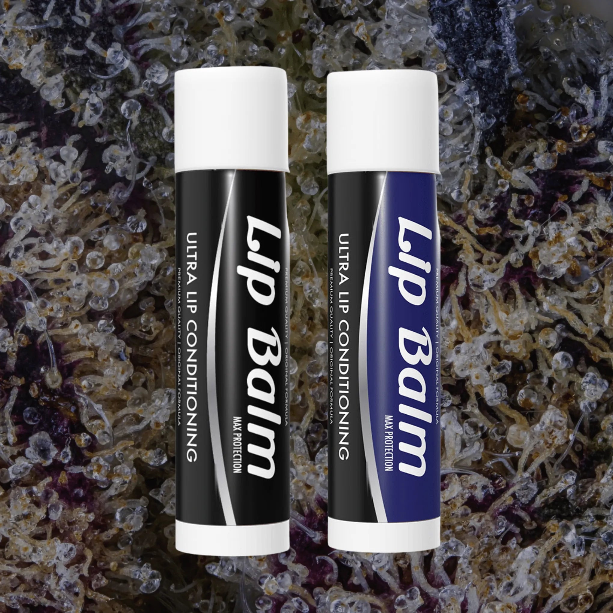 Lip Balm Black/Blue | Trichly