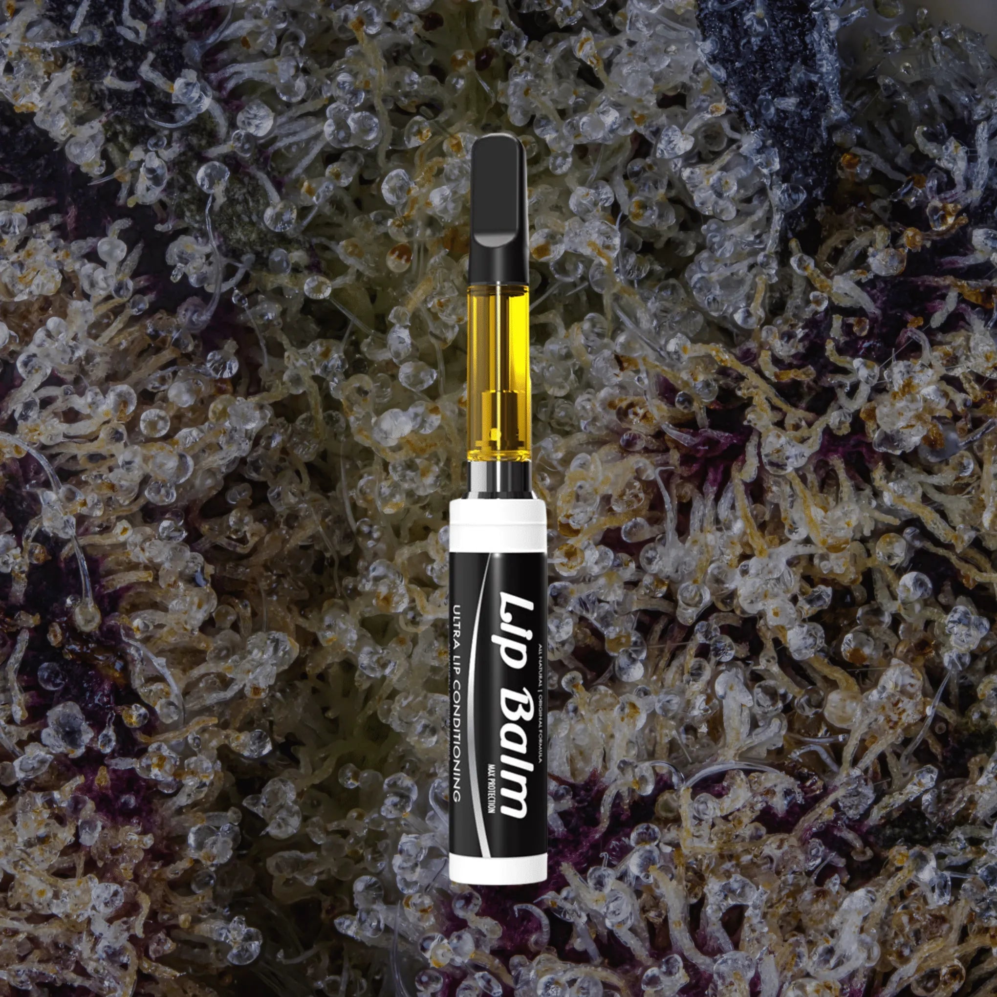 Lip Balm Black/Blue | Trichly