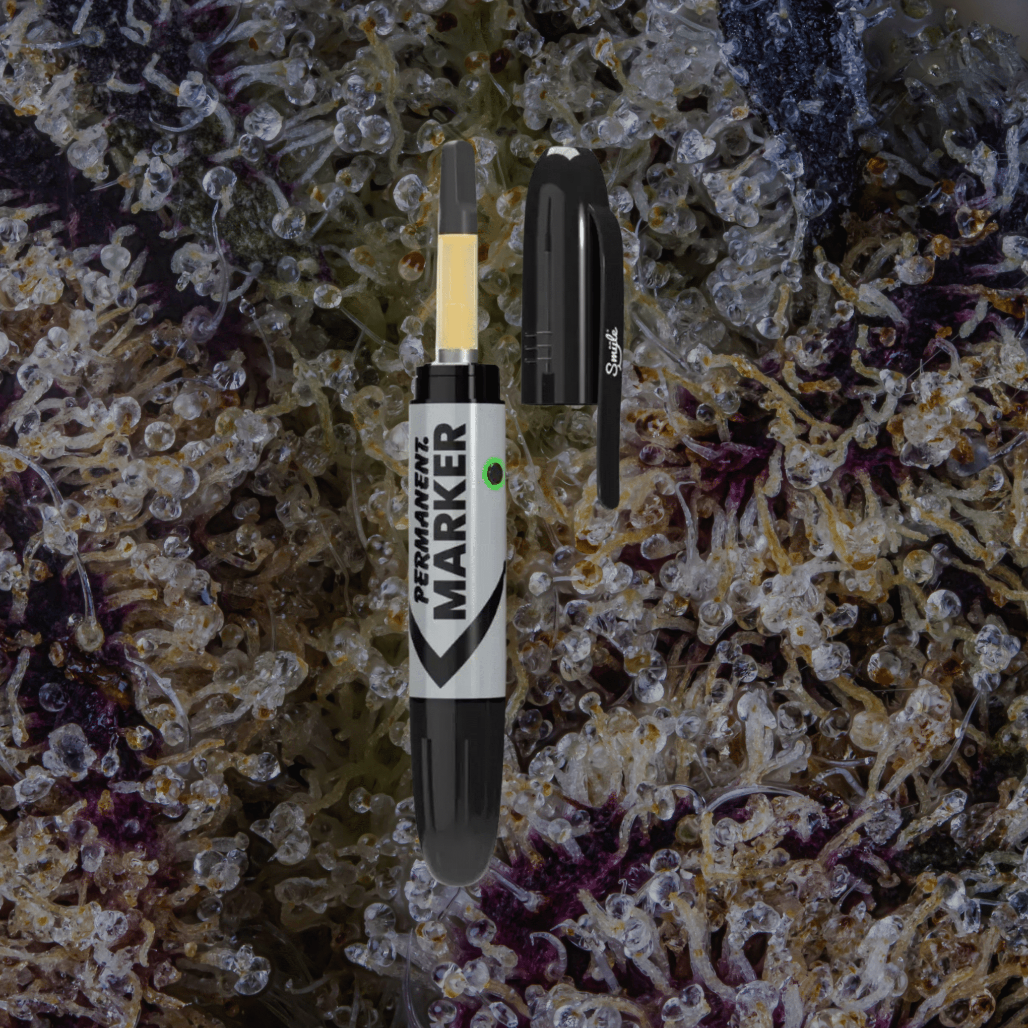 Smyle Labs Permanent Marker Black | Trichly