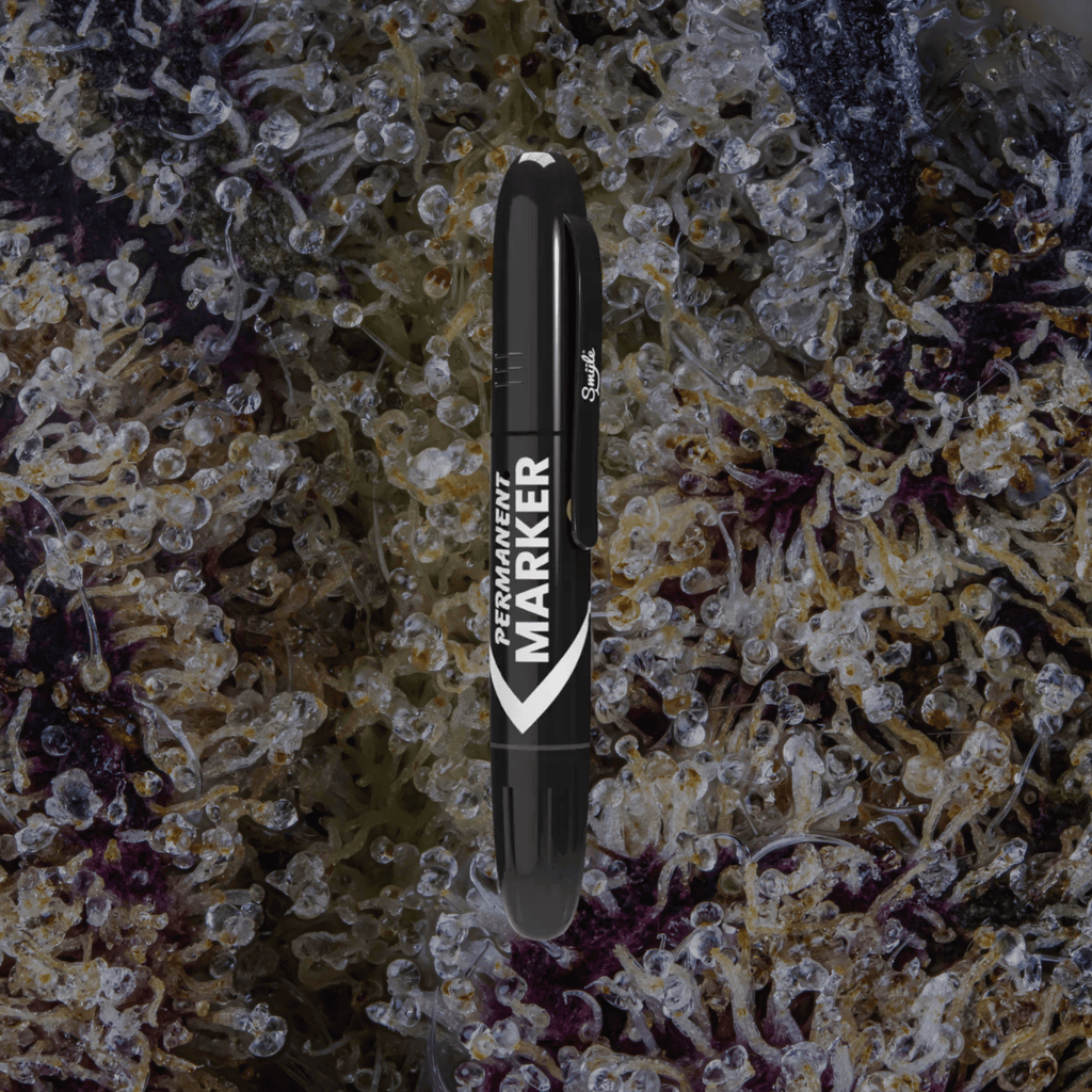 Smyle Labs Permanent Marker Black | Trichly