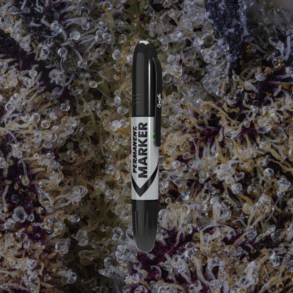 Smyle Labs Permanent Marker Silver | Trichly