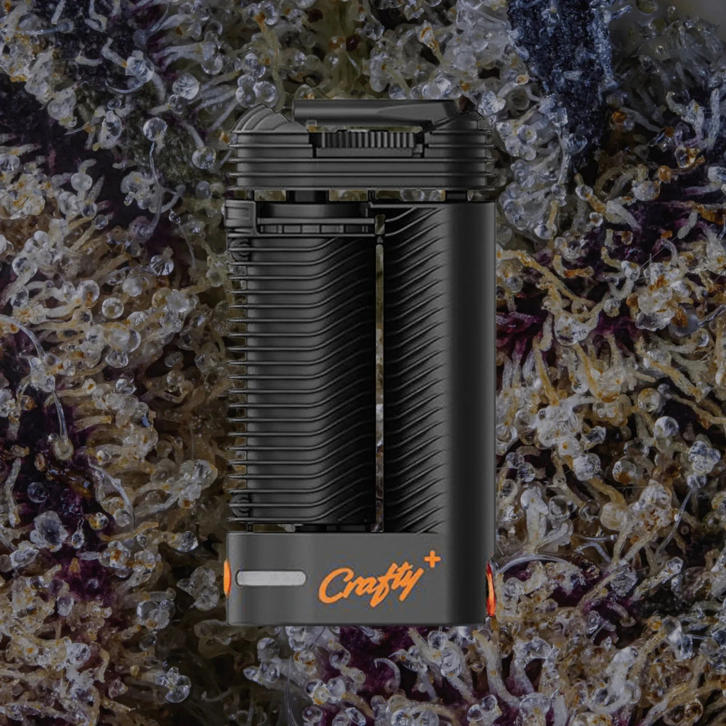 Storz & Bickel Crafty+ | Trichly