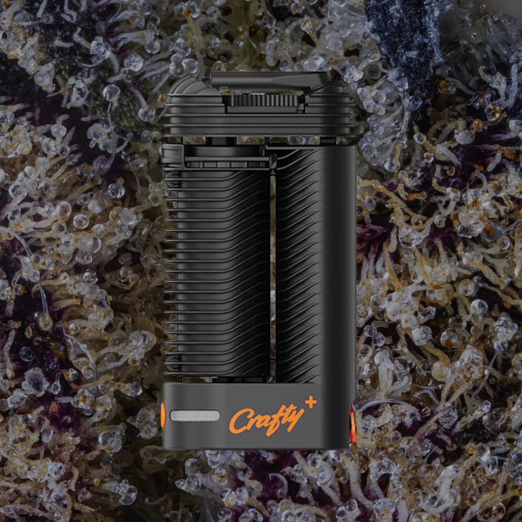 Storz & Bickel Crafty+ | Trichly