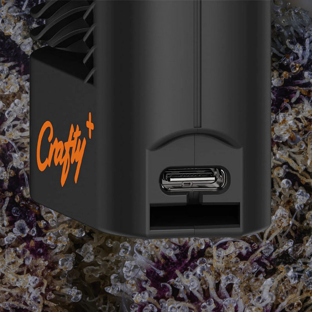 Storz & Bickel Crafty+ | Trichly
