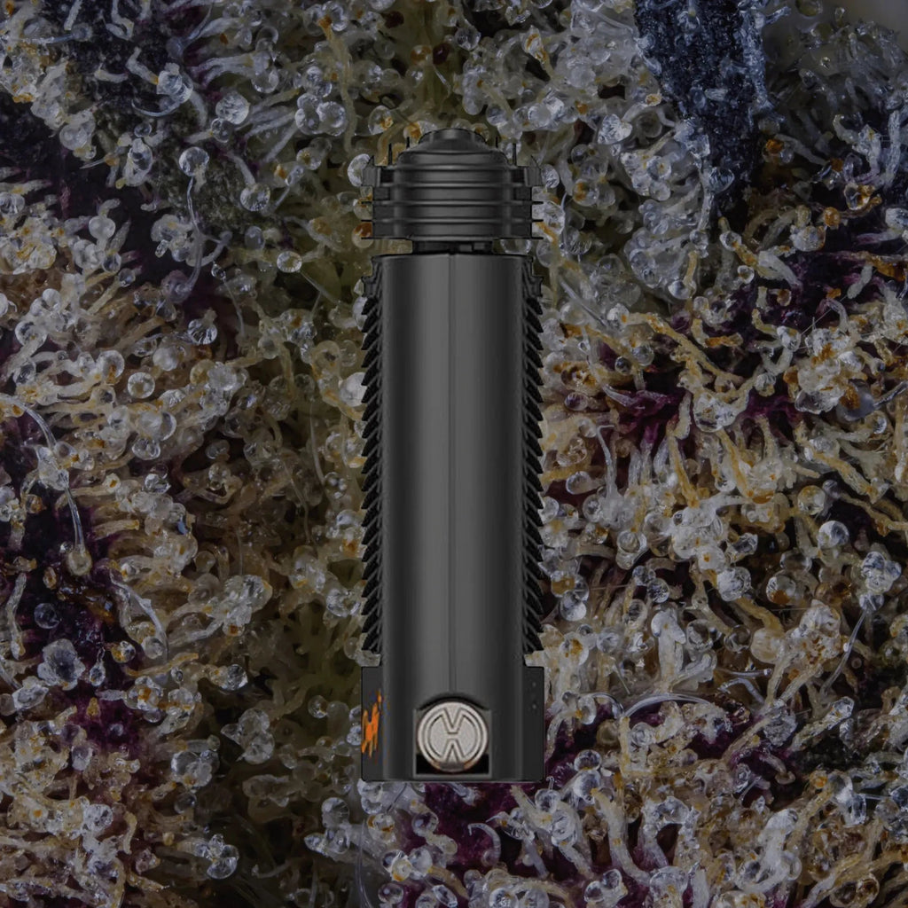 Storz & Bickel Crafty+ | Trichly