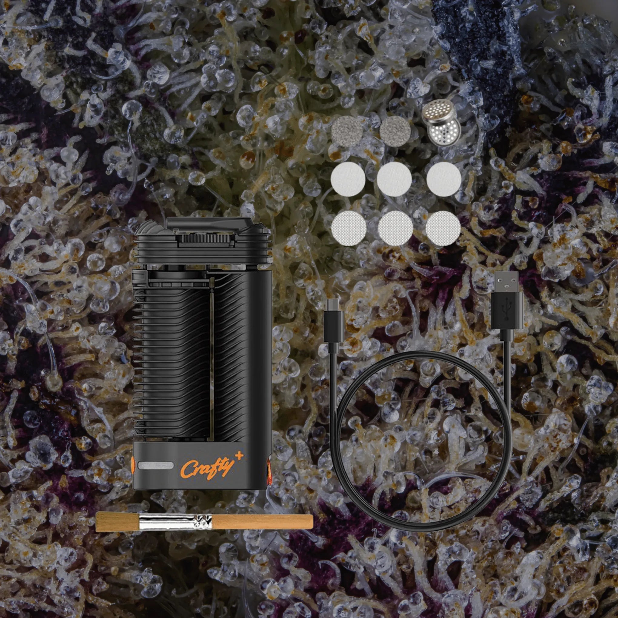 Storz & Bickel Crafty+ | Trichly
