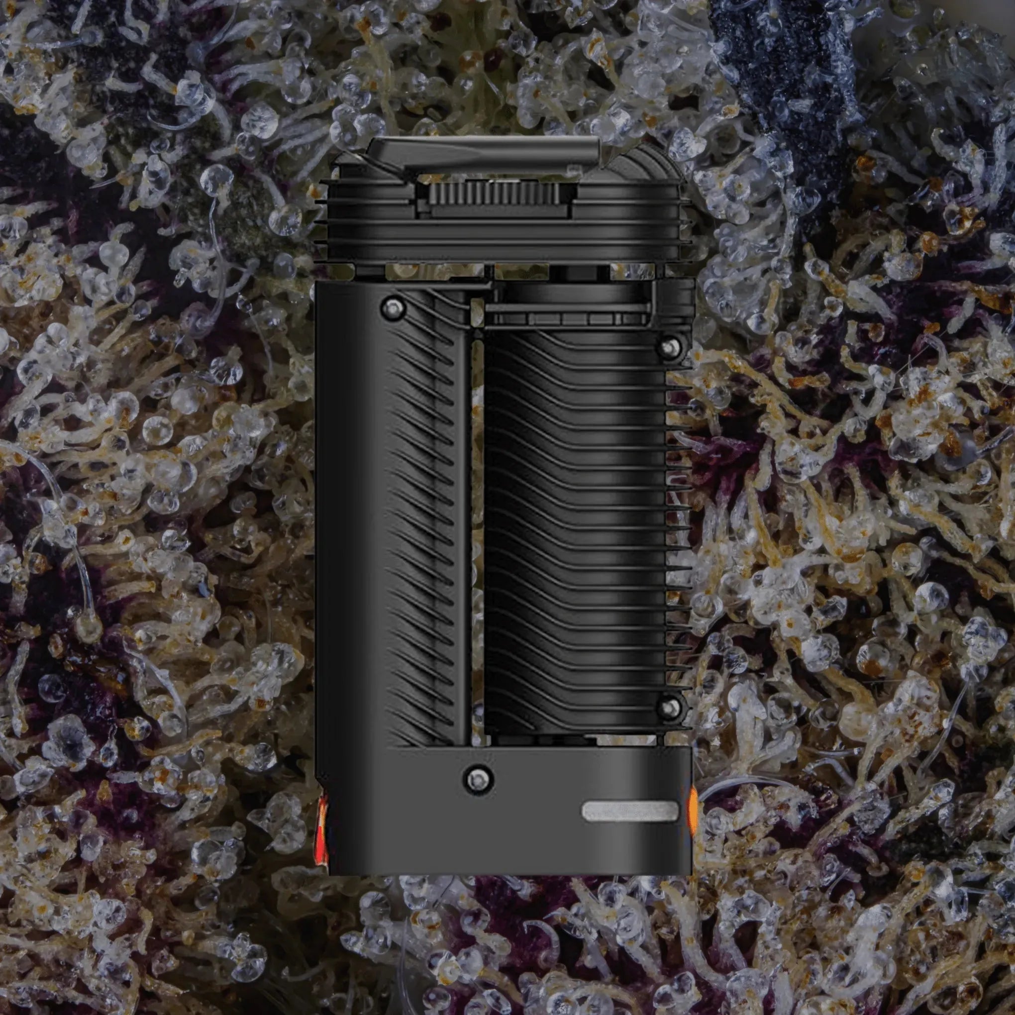 Storz & Bickel Crafty+ | Trichly