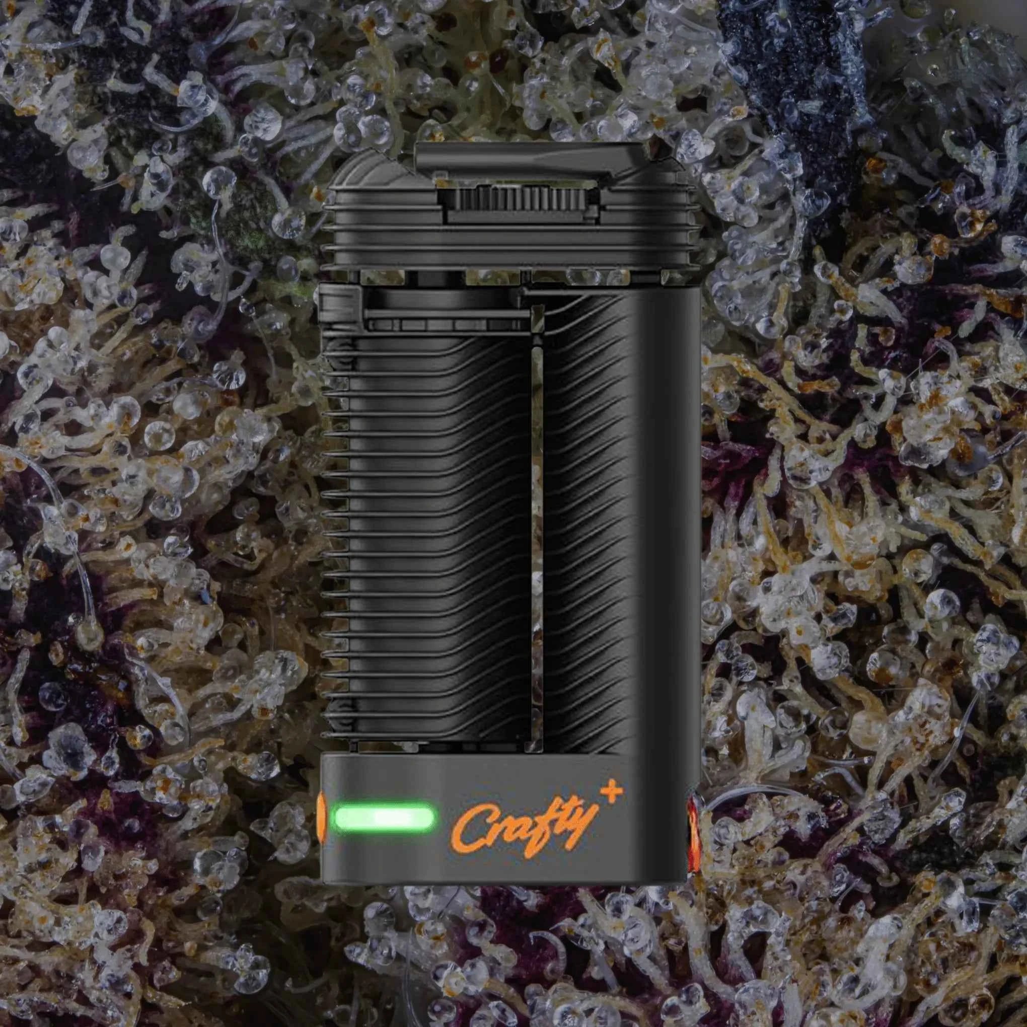 Storz & Bickel Crafty+ | Trichly