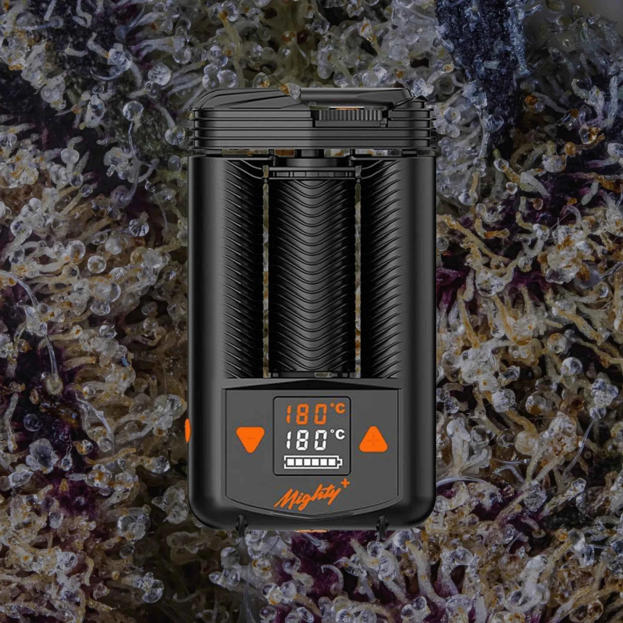 Storz & Bickel Mighty+ | Trichly