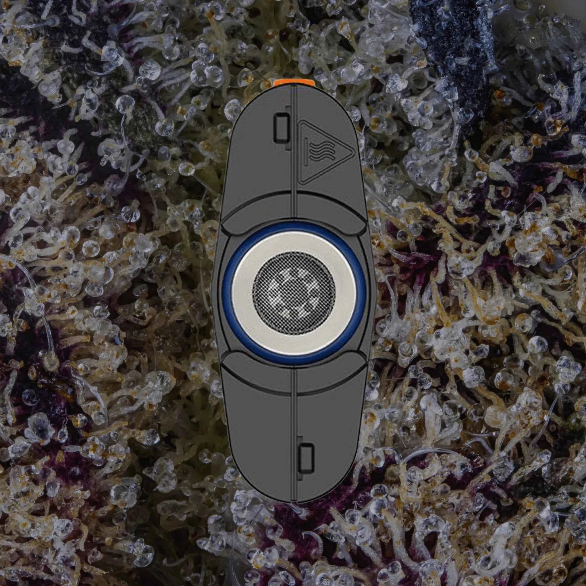 Storz & Bickel Mighty+ | Trichly