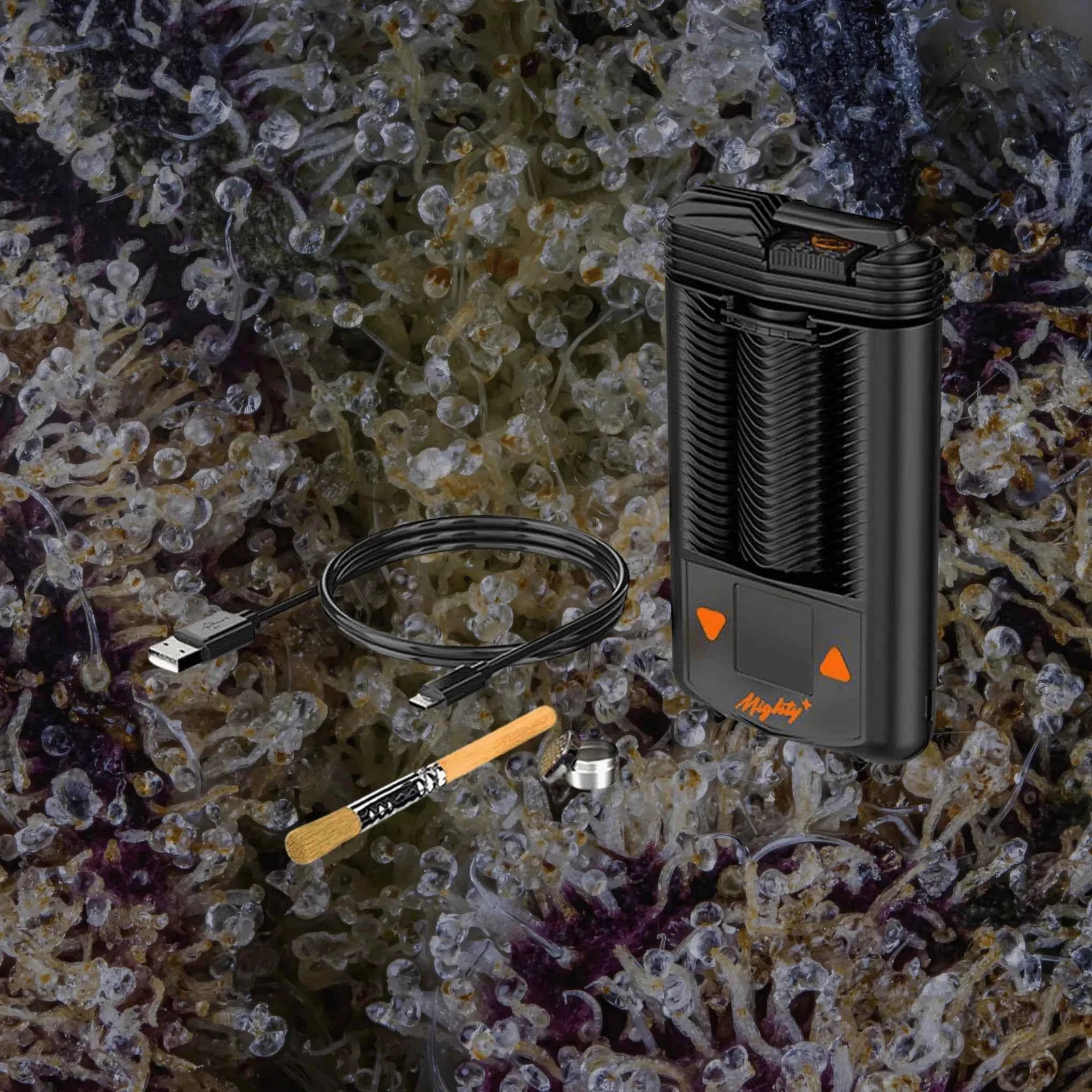 Storz & Bickel Mighty+ | Trichly