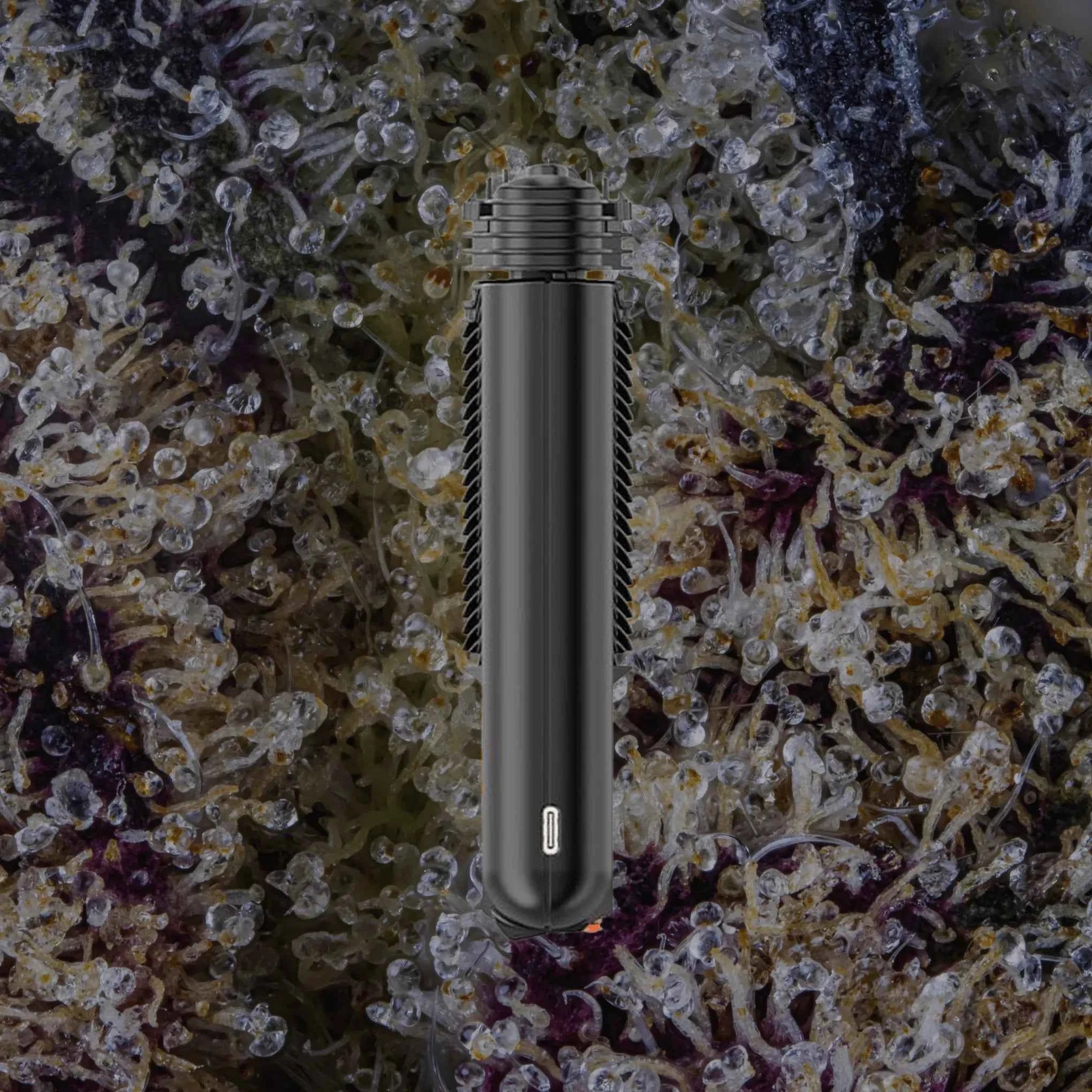 Storz & Bickel Mighty+ | Trichly