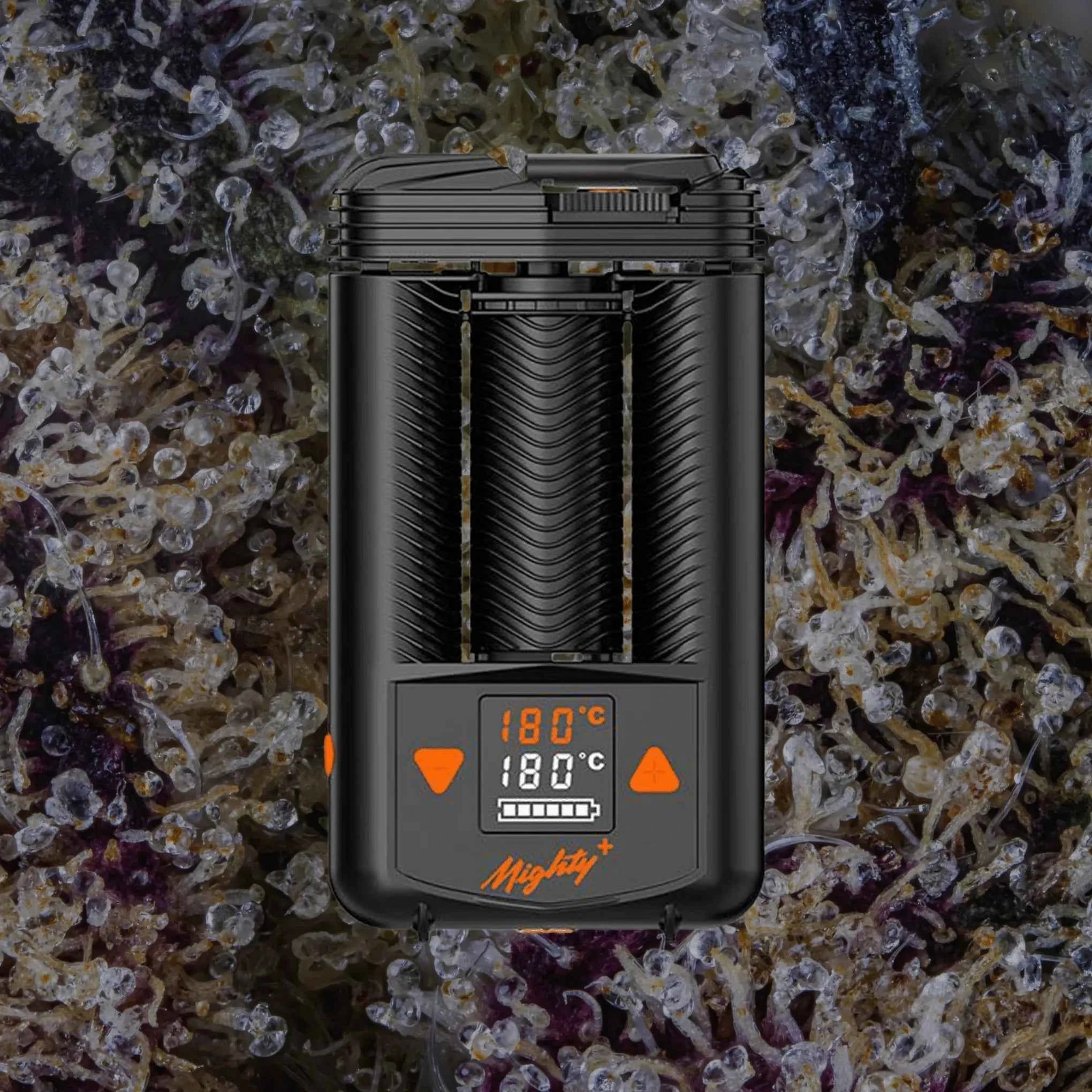 Storz & Bickel Mighty+ | Trichly