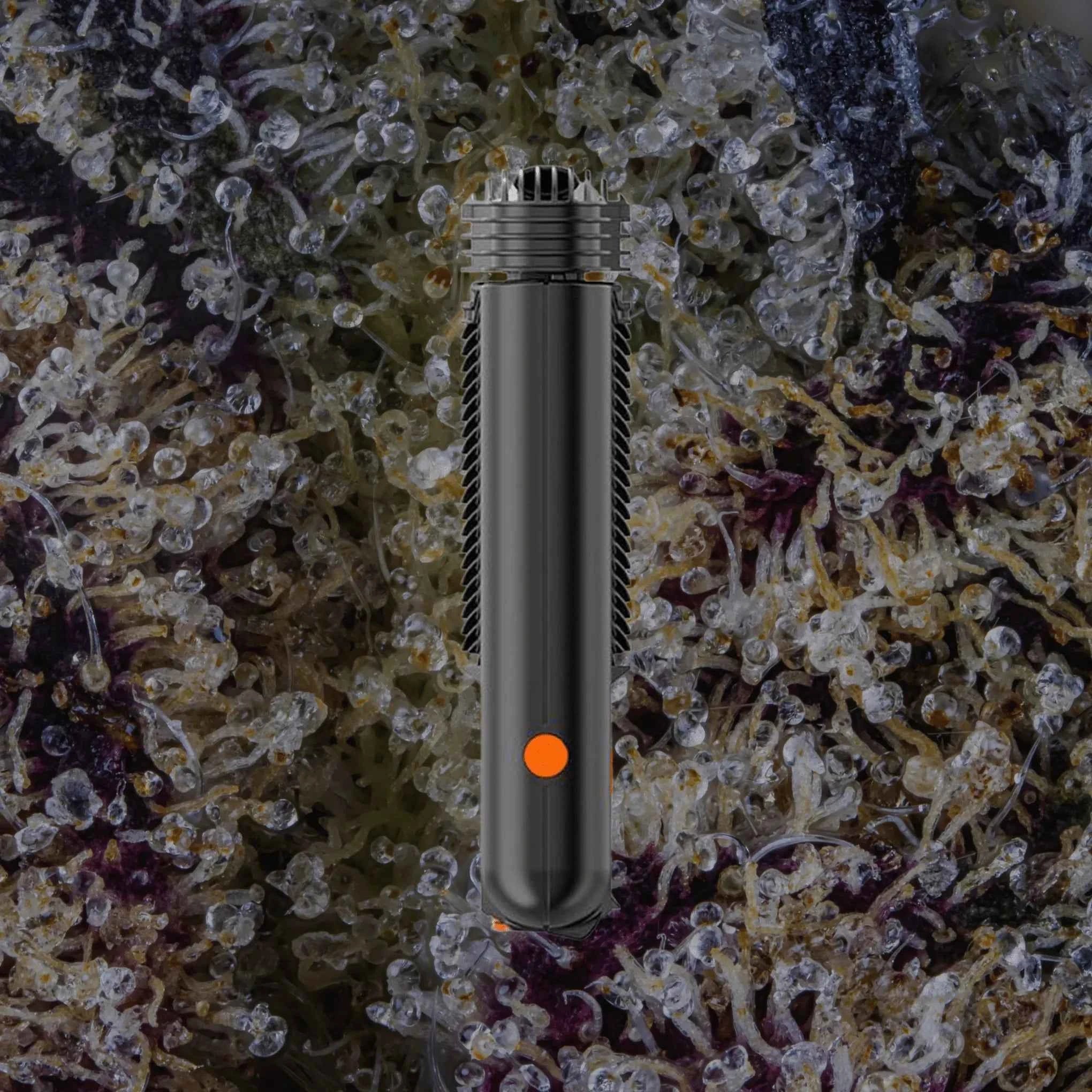 Storz & Bickel Mighty+ | Trichly