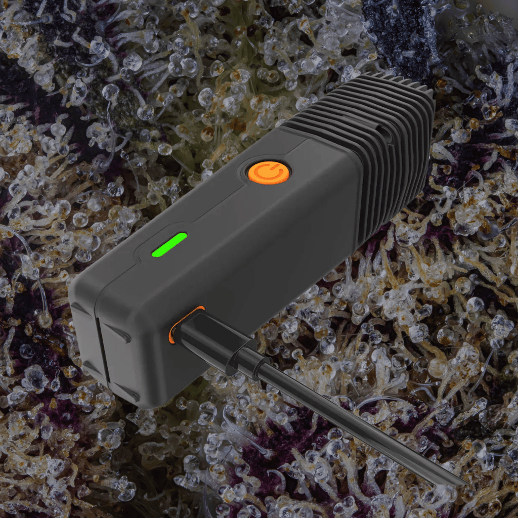 Storz & Bickel Veazy Vaporizer Black | Trichly