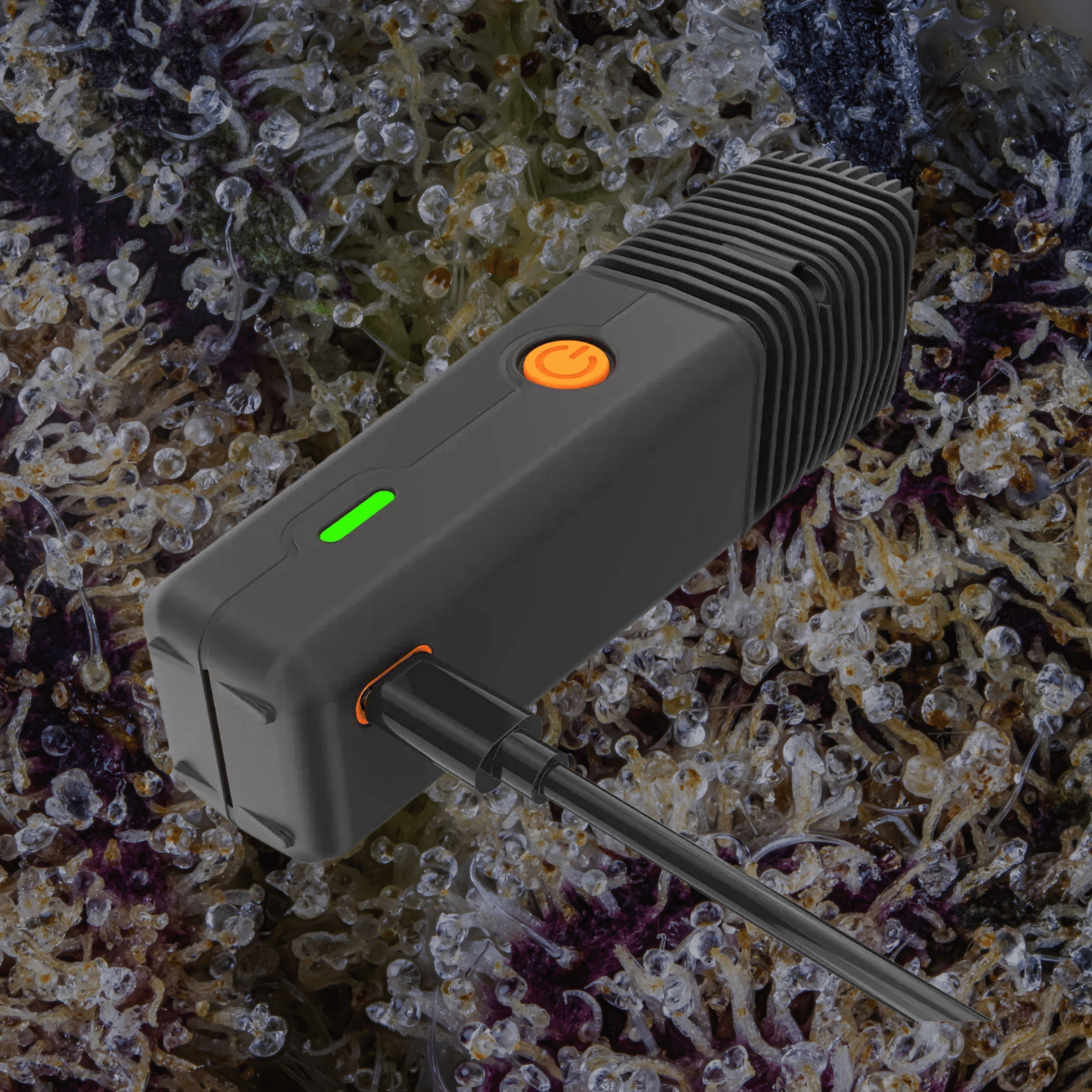Storz & Bickel Veazy Vaporizer Black | Trichly