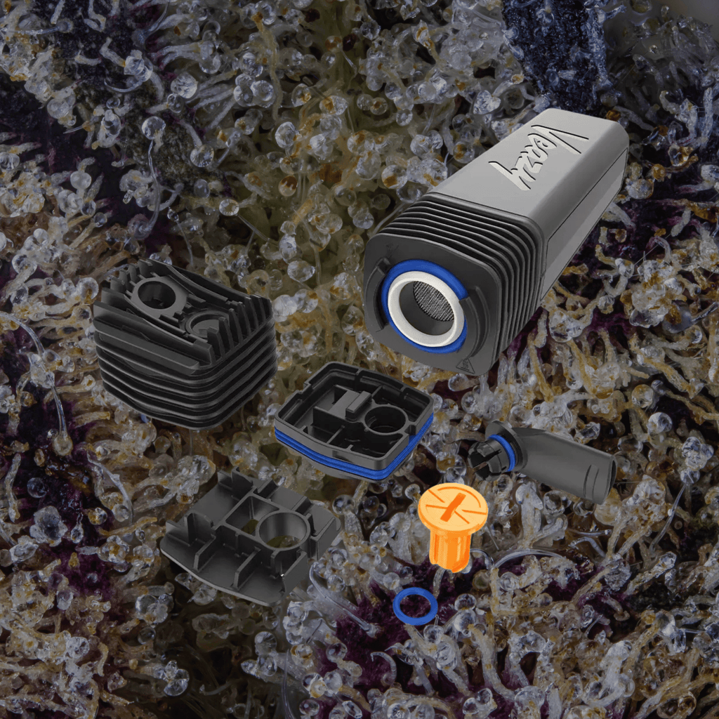 Storz & Bickel Veazy Vaporizer Black | Trichly