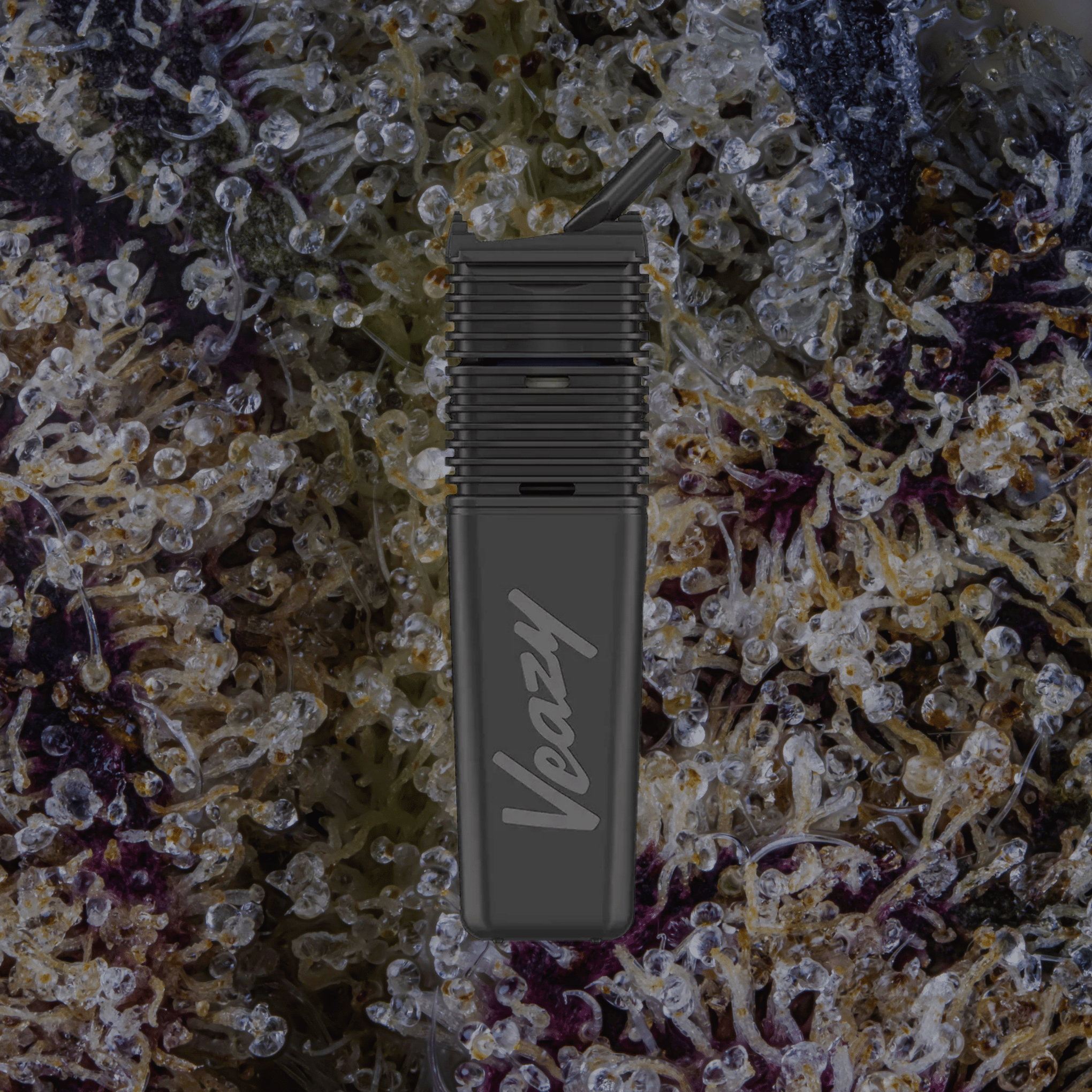 Storz & Bickel Veazy Vaporizer Black | Trichly