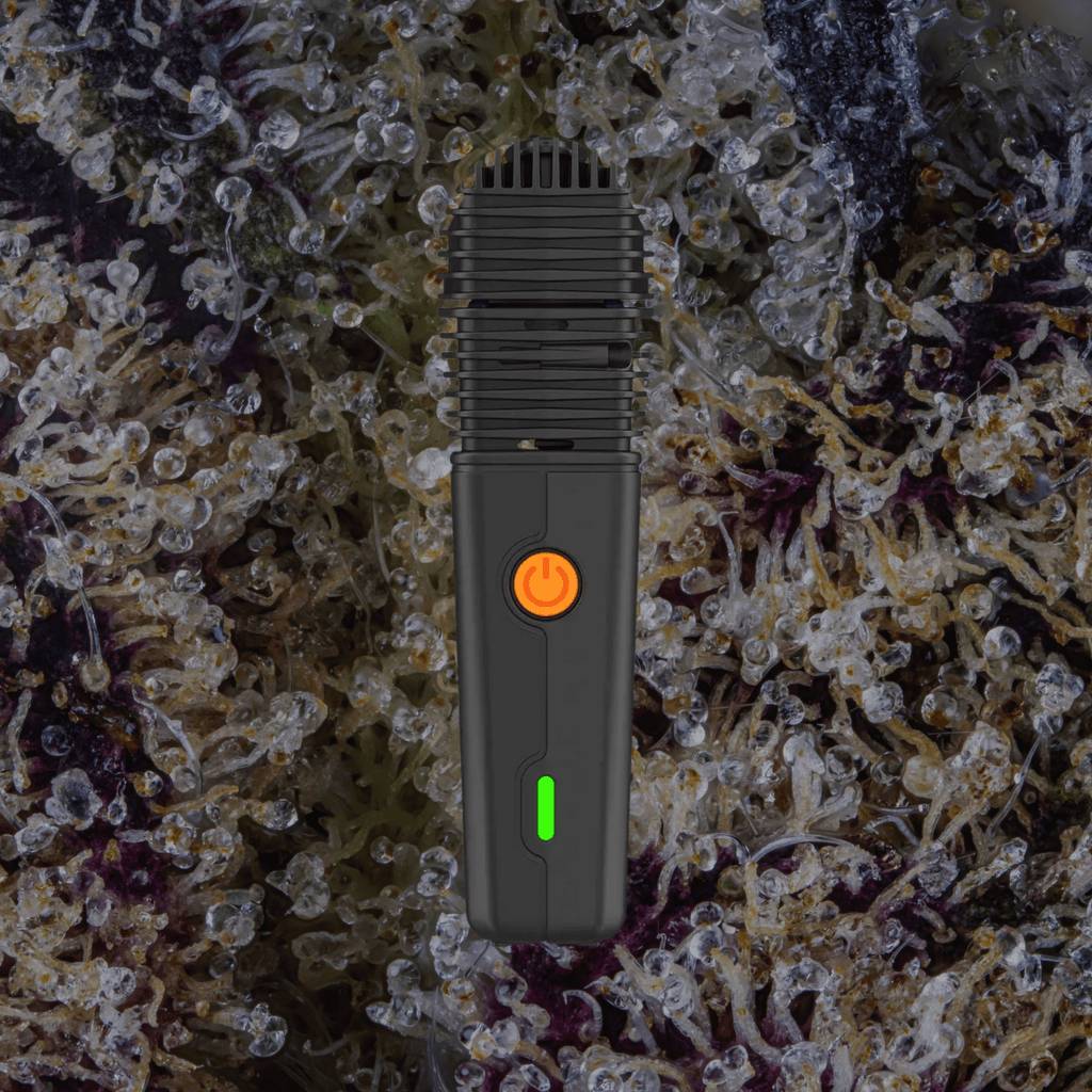 Storz & Bickel Veazy Vaporizer Black | Trichly