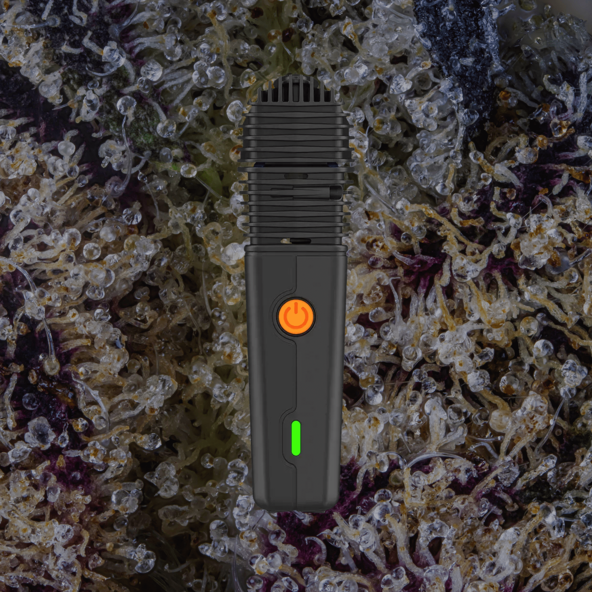 Storz & Bickel Veazy Vaporizer Black | Trichly