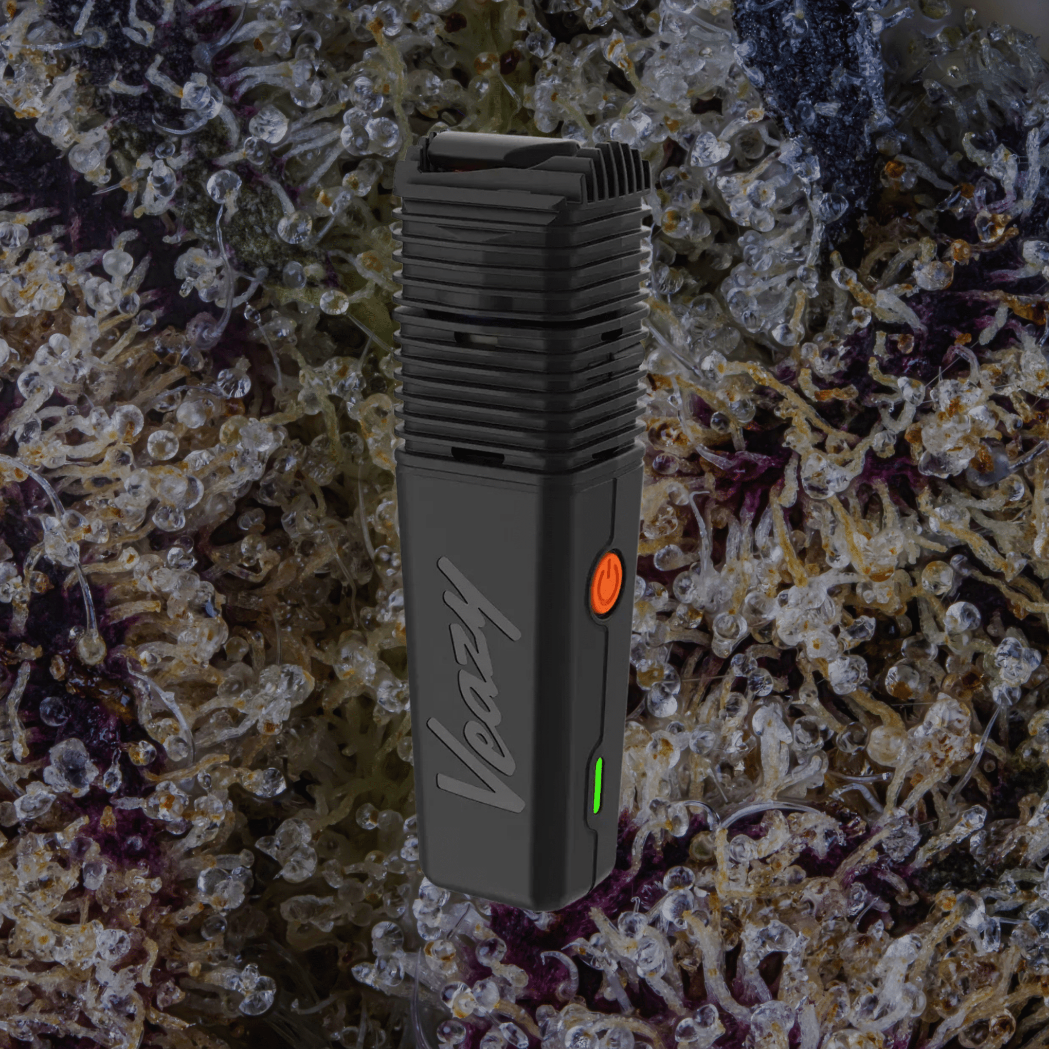 Storz & Bickel Veazy Vaporizer Black | Trichly