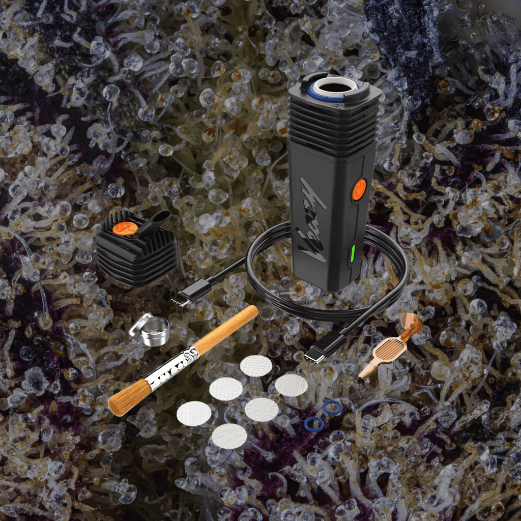 Storz & Bickel Veazy Vaporizer Black | Trichly