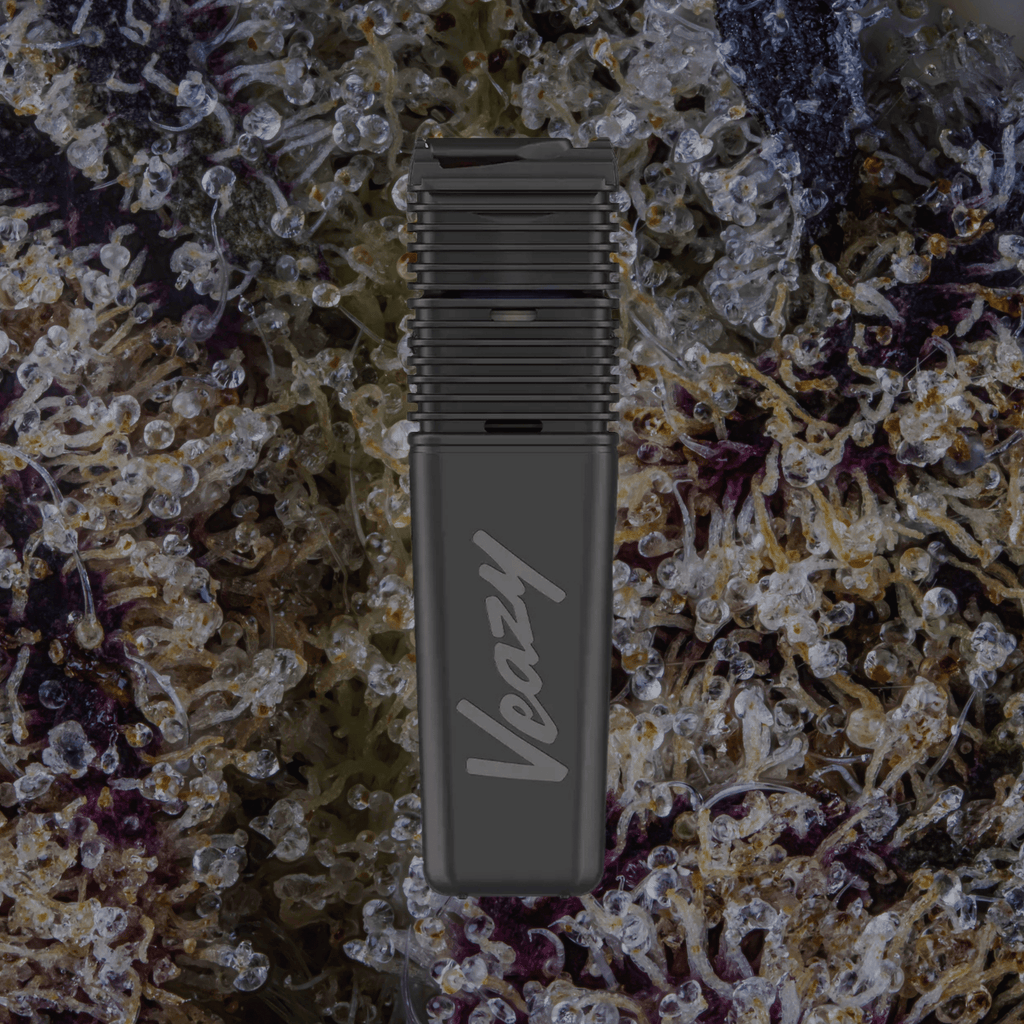 Storz & Bickel Veazy Vaporizer Black | Trichly