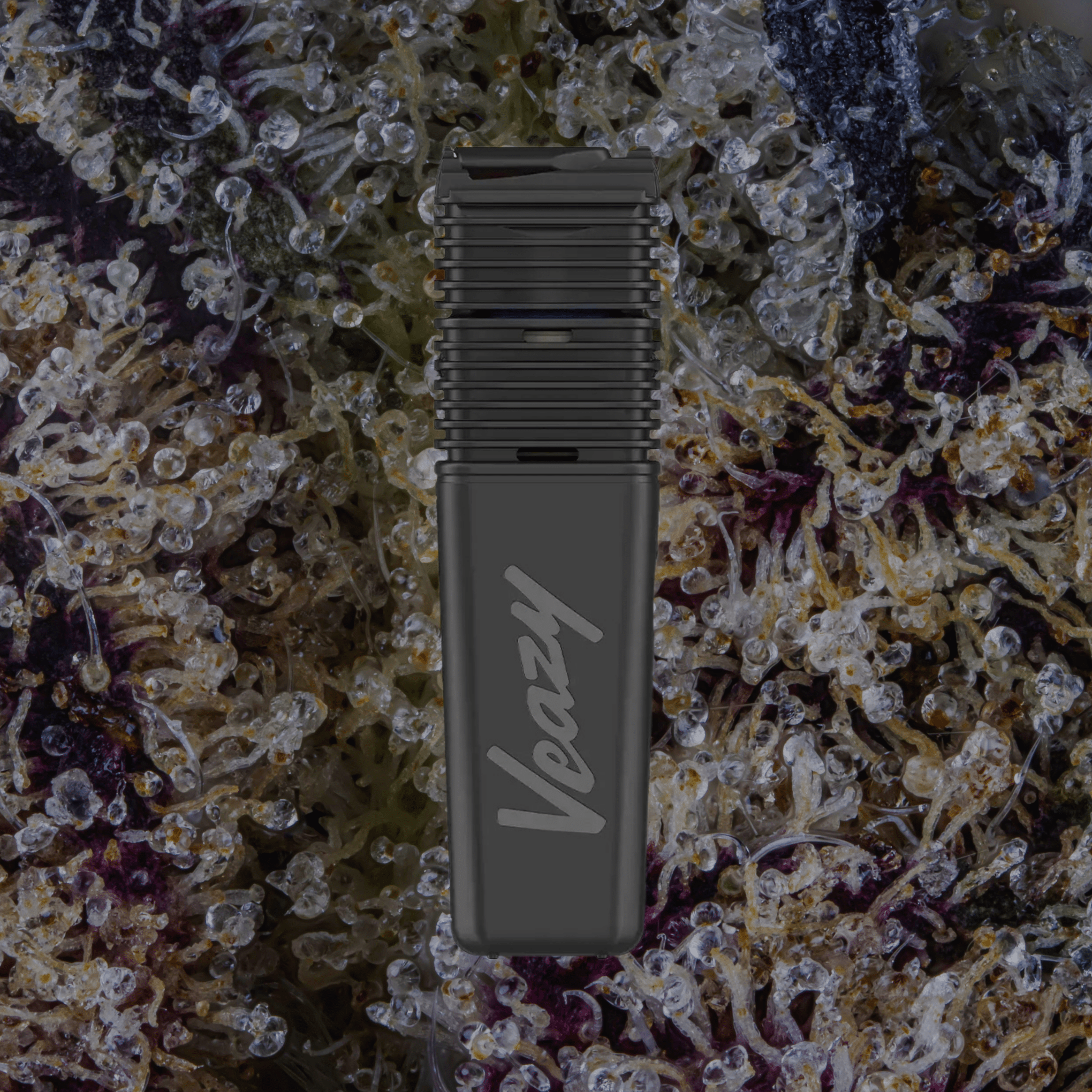 Storz & Bickel Veazy Vaporizer Black | Trichly