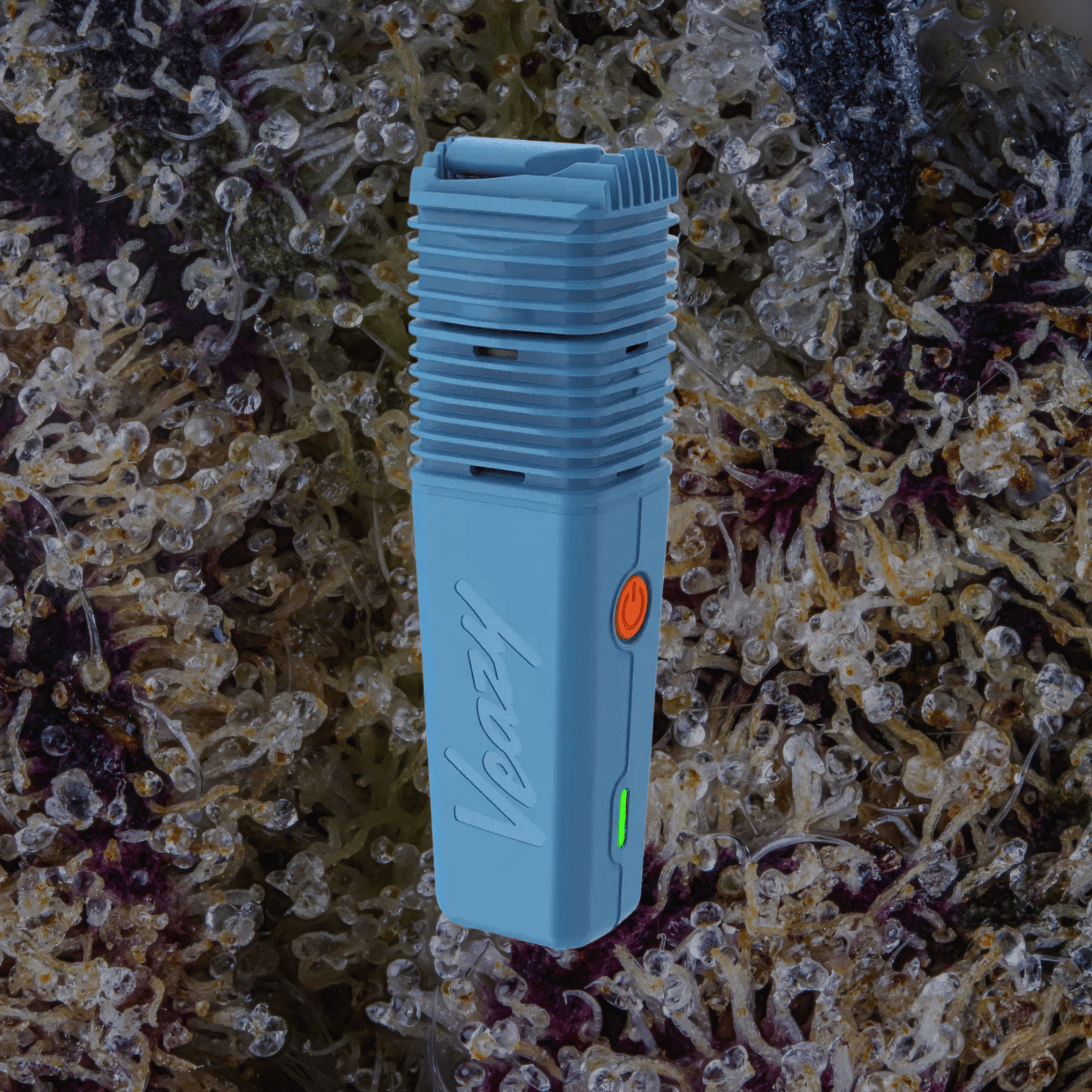 Storz & Bickel Veazy Vaporizer Blue | Trichly