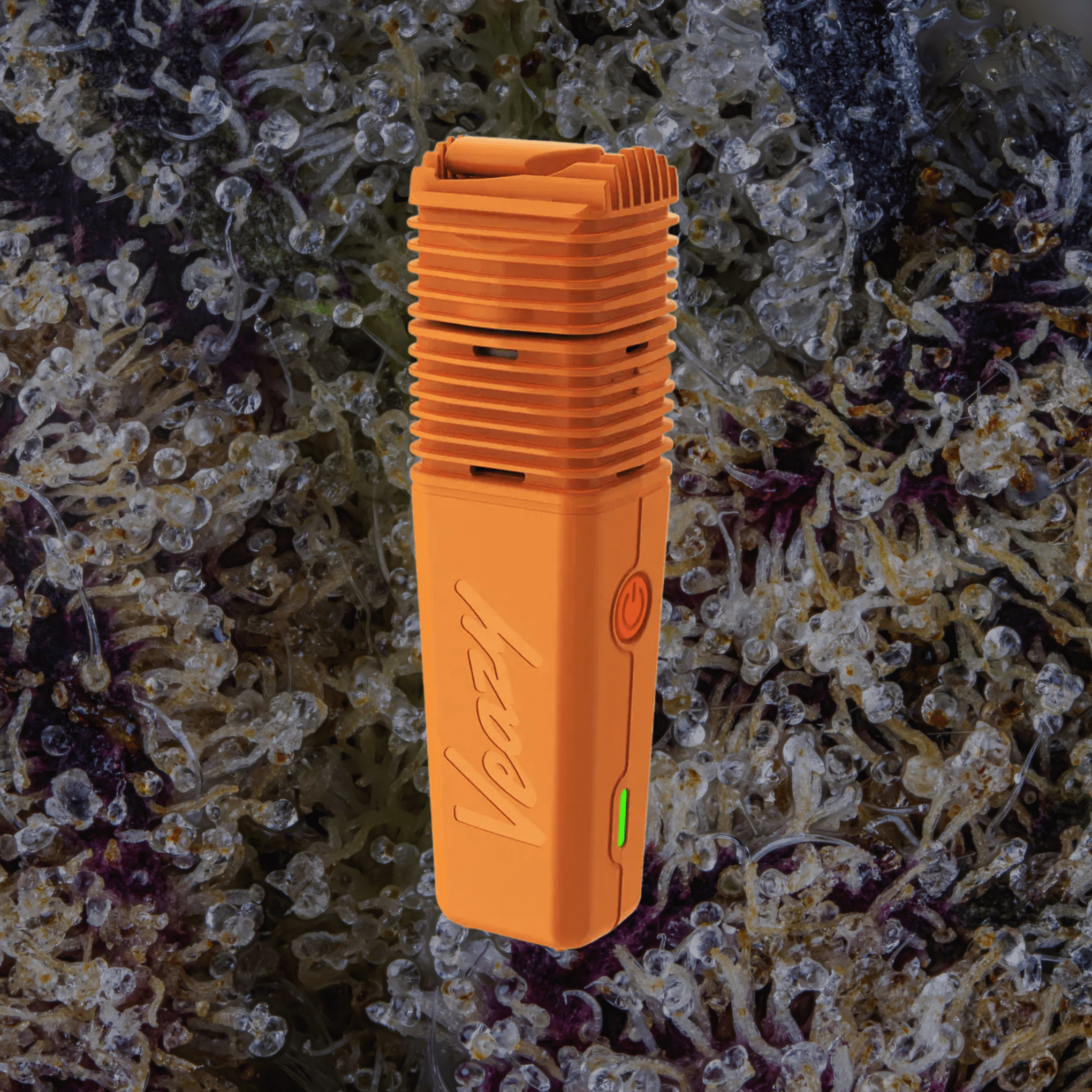 Storz & Bickel Veazy Vaporizer Orange | Trichly