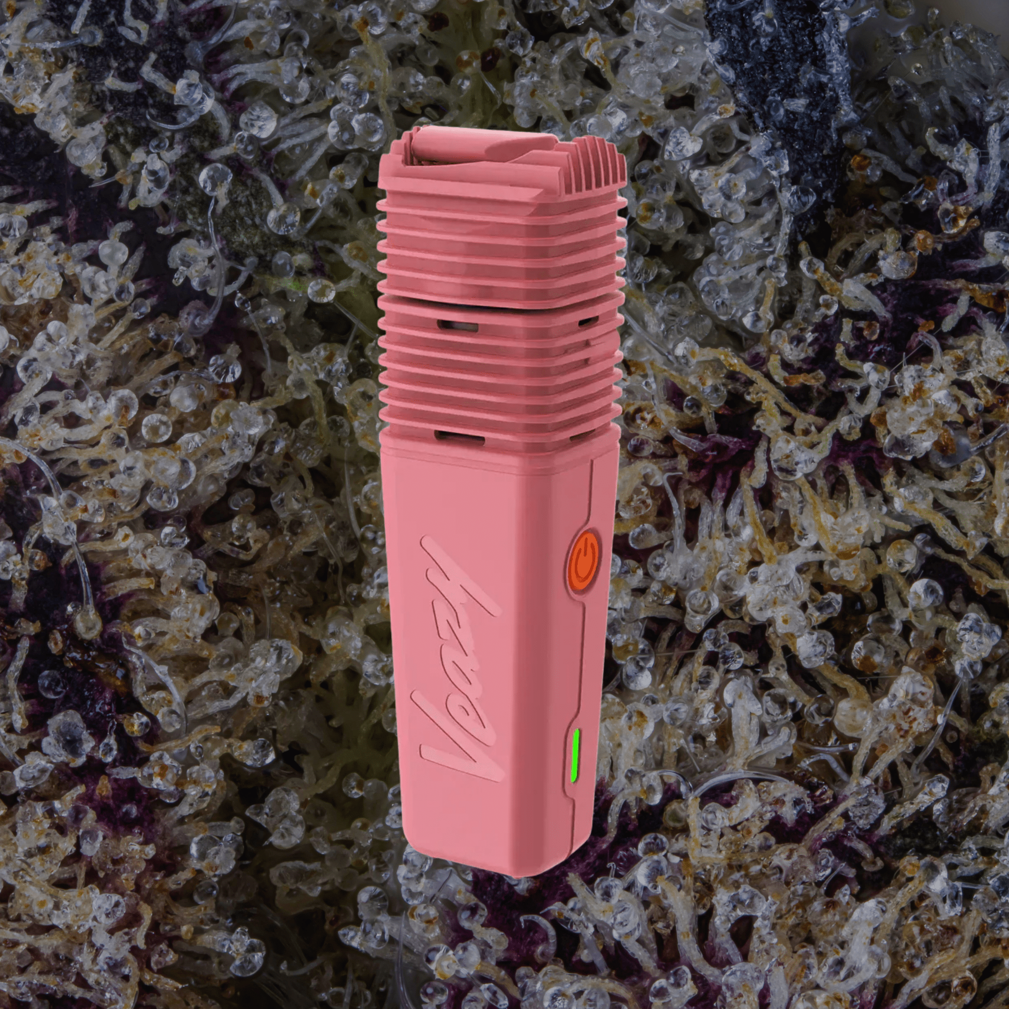 Storz & Bickel Veazy Vaporizer Pink | Trichly