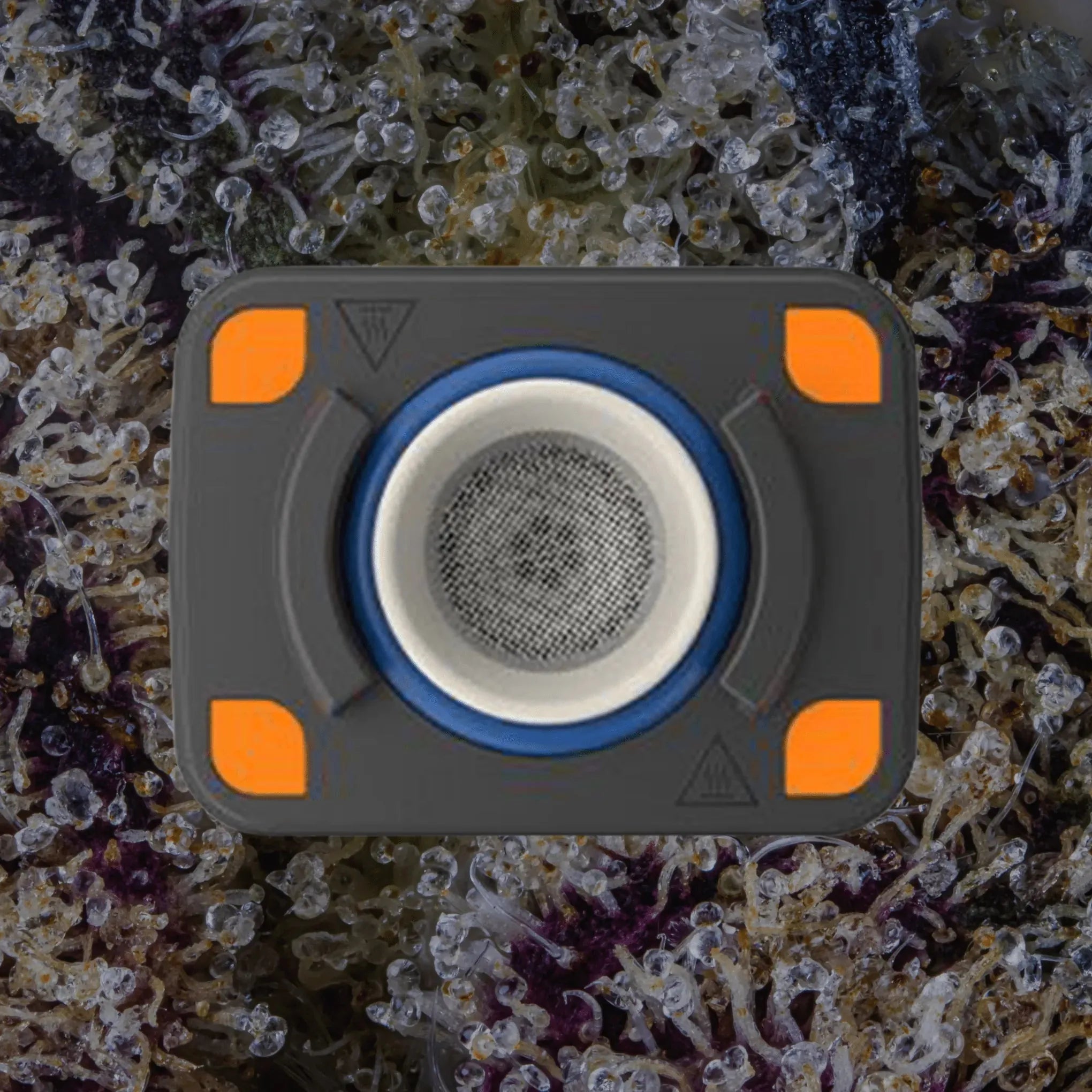 Storz & Bickel Venty Top View | Trichly