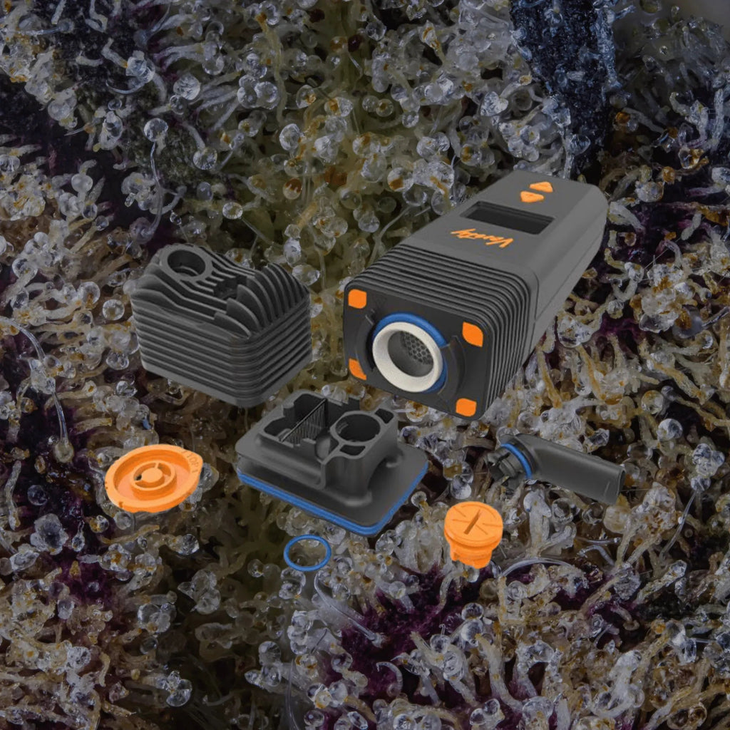 Storz & Bickel Venty Components | Trichly