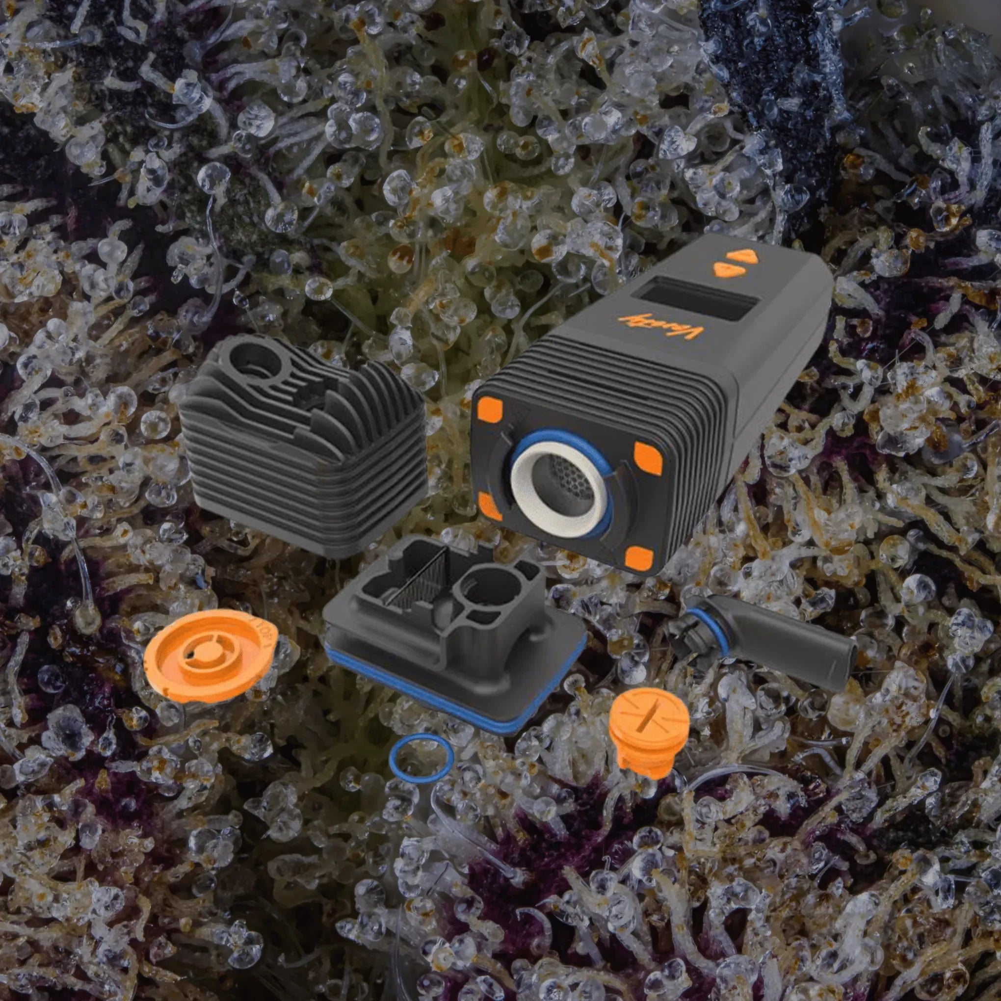 Storz & Bickel Venty Components | Trichly