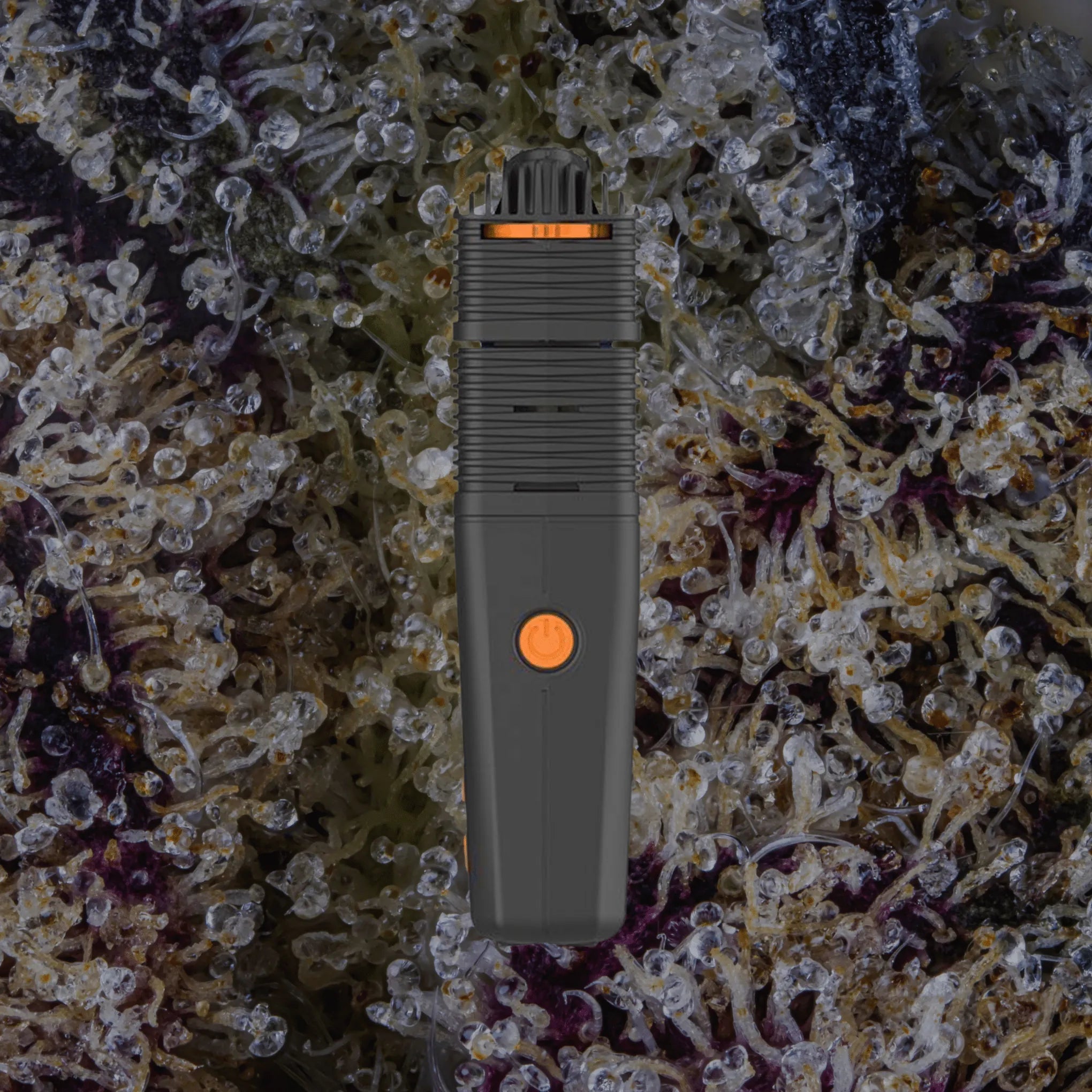 Storz & Bickel Venty Side View | Trichly