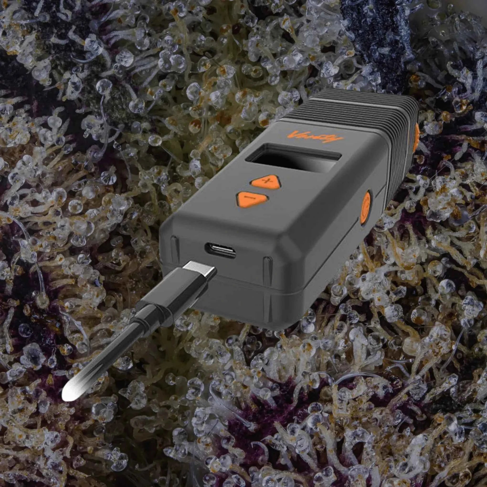 Storz & Bickel Venty | Trichly