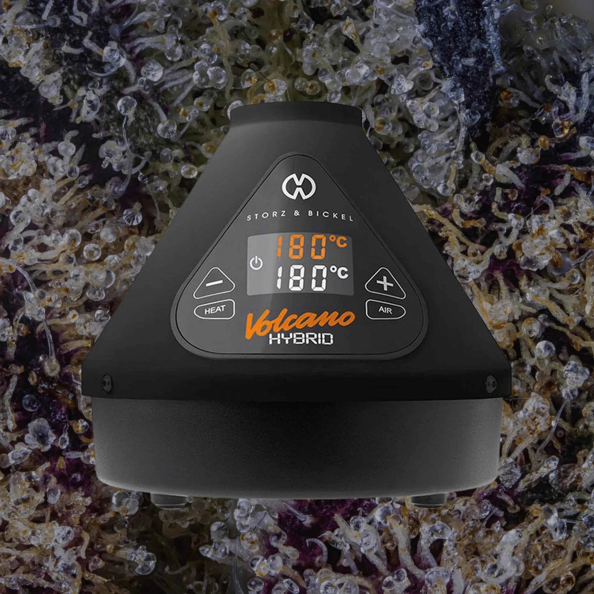 Storz & Bickel Volcano Hybrid Onyx | Trichly