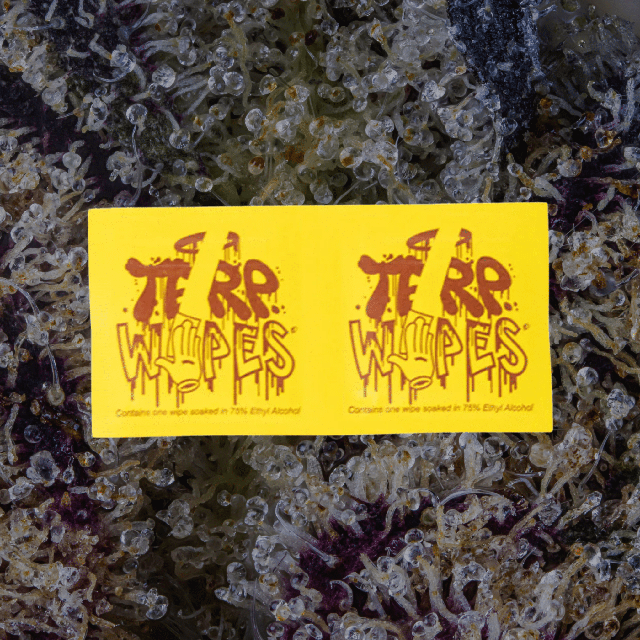 Terp Wipes 70 - Pack | Trichly